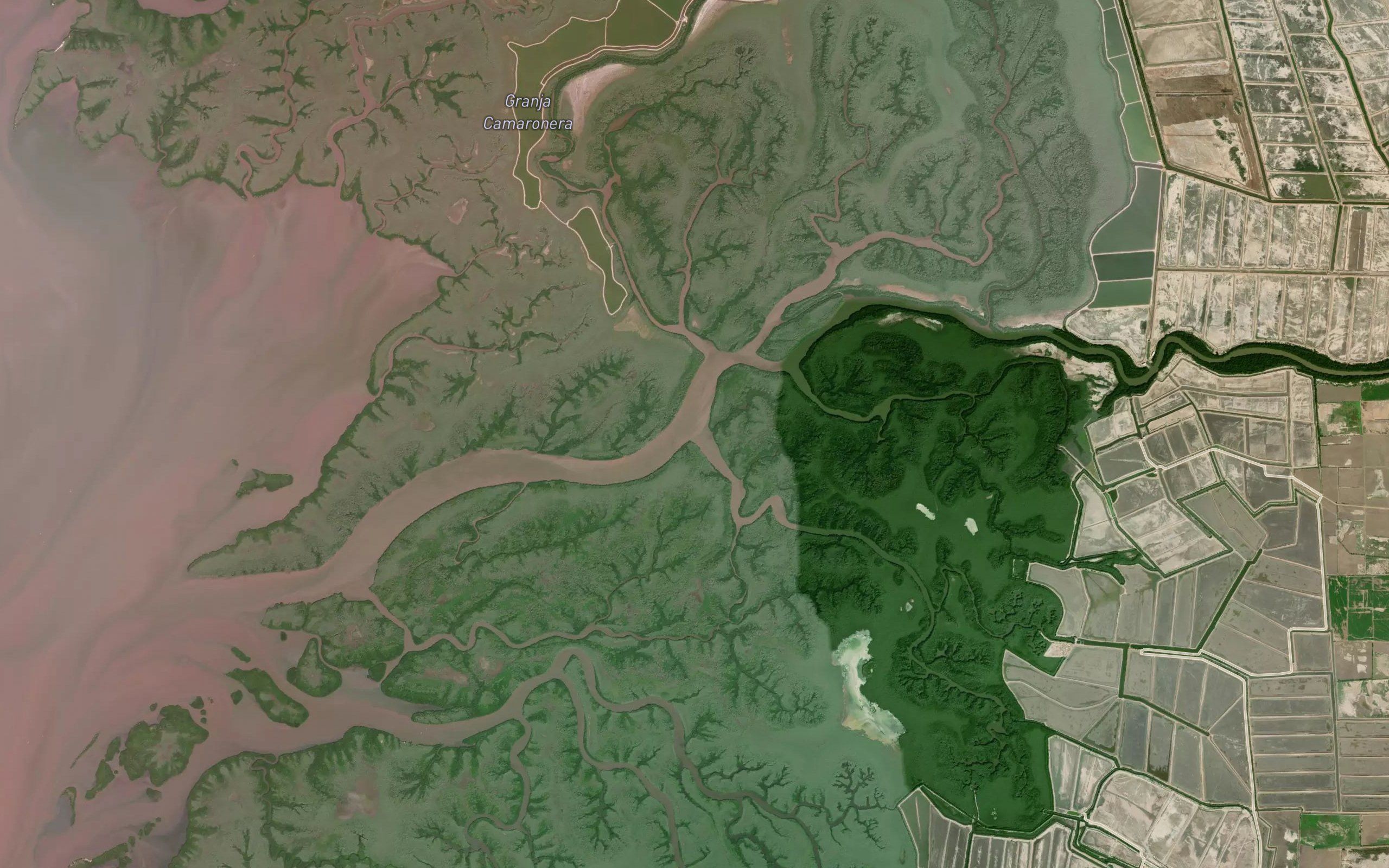 Estero Vindramo