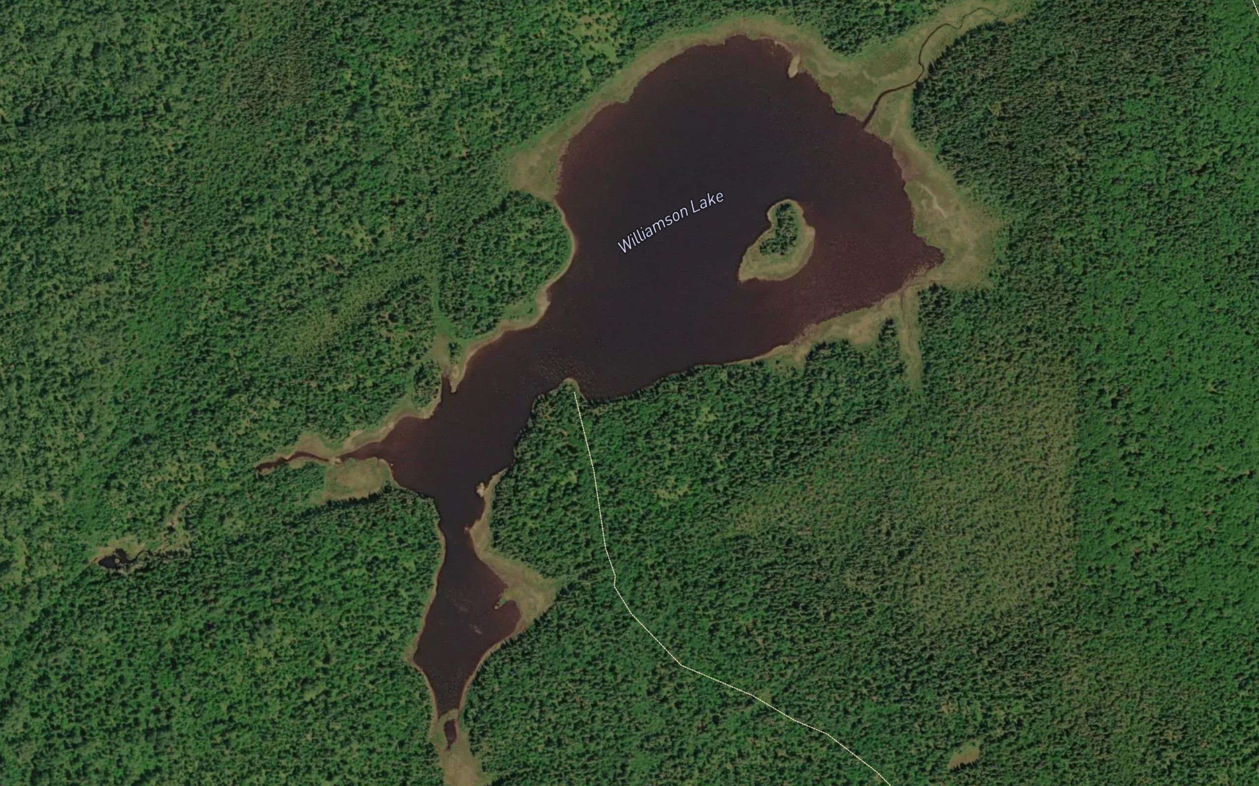 Williamson Lake