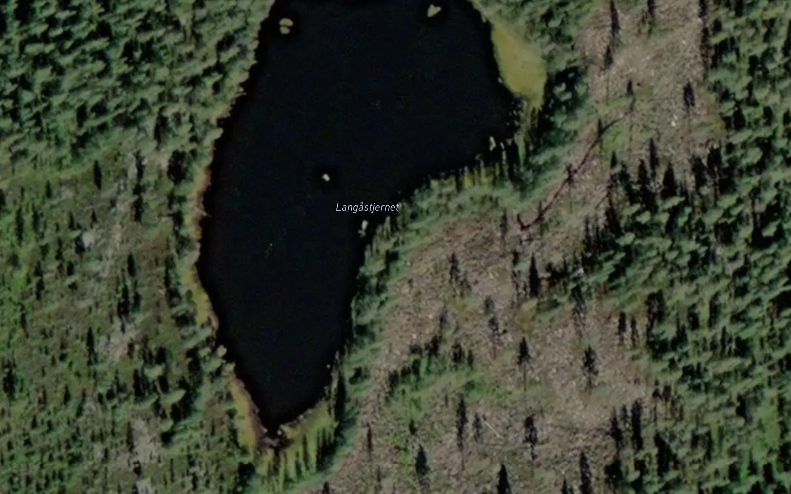 Langastjernet
