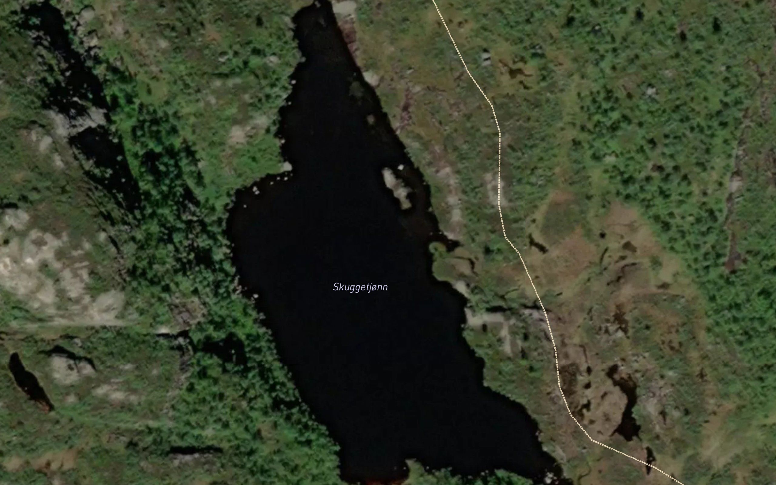 Skuggetjonn