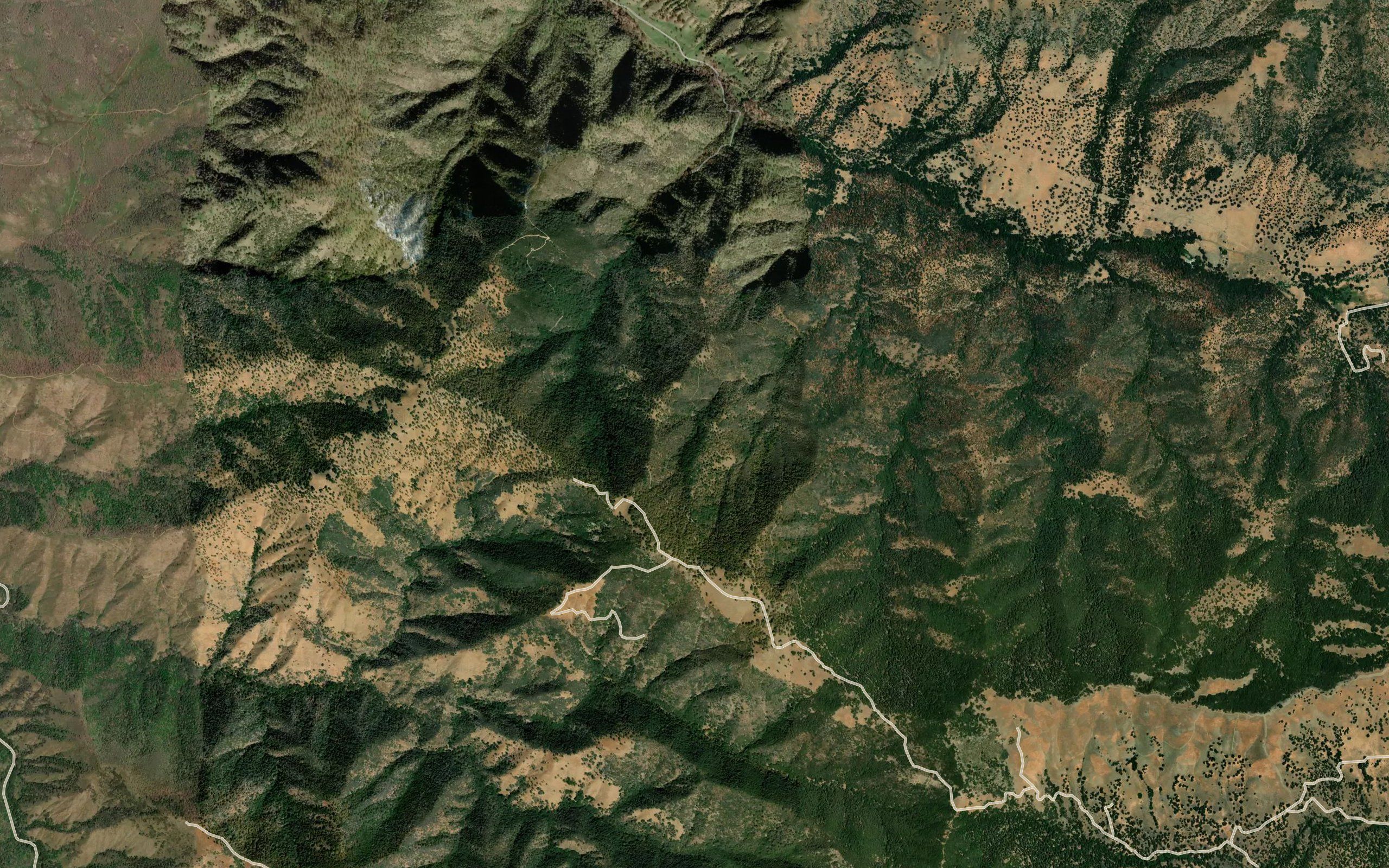 Rosemarr Spring