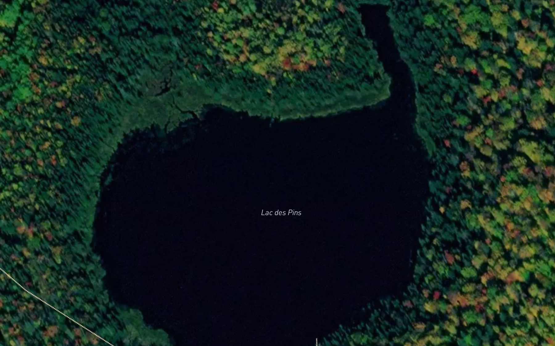Satellite map of the Lac des Pins