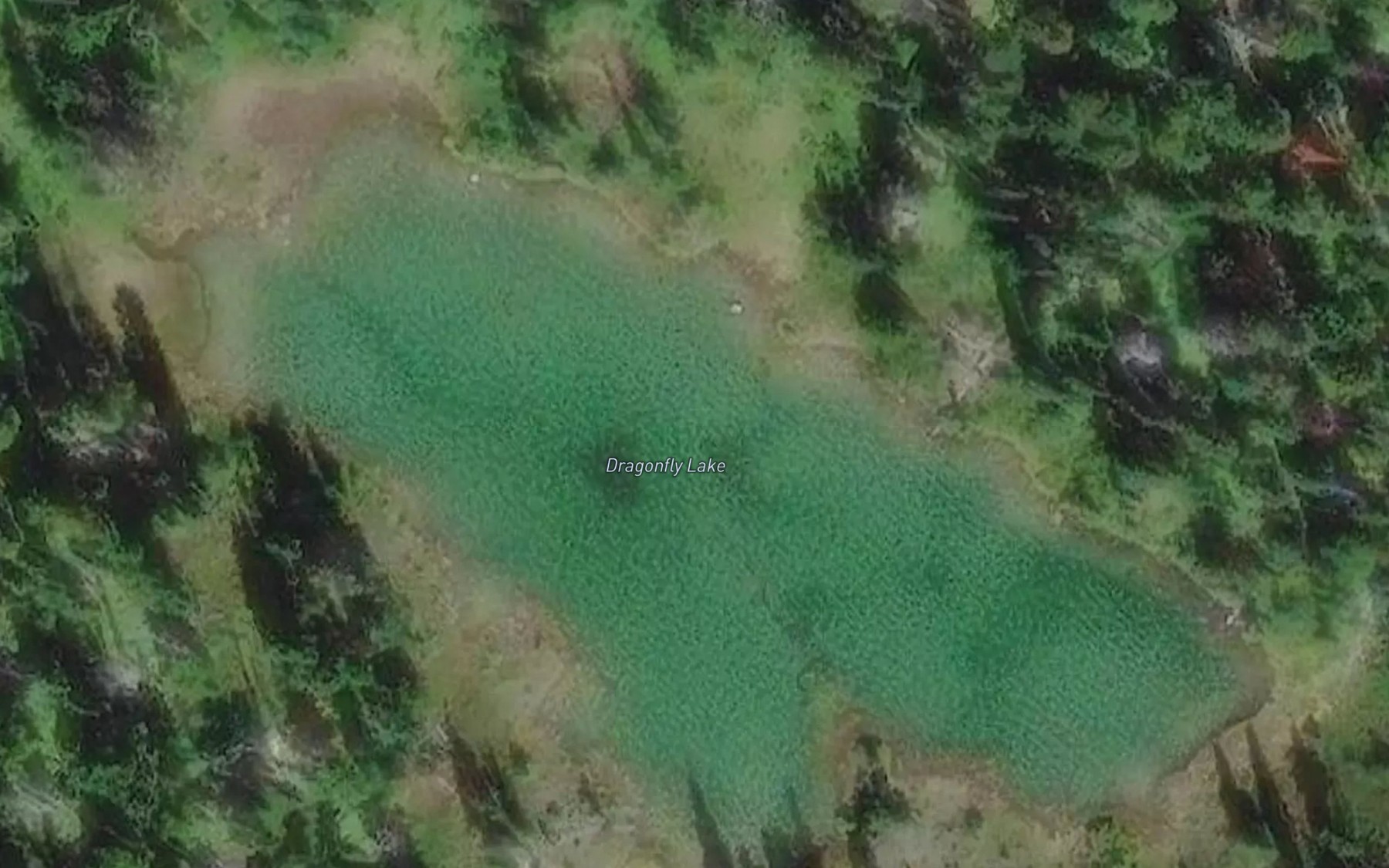 Satellite map of the Dragonfly Lake