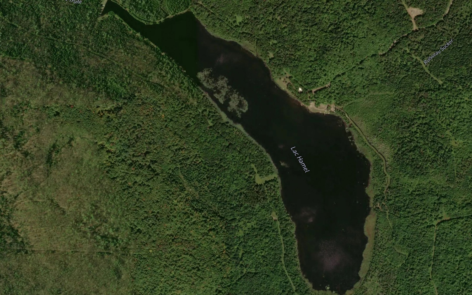 Satellite map of the Lac Hamel
