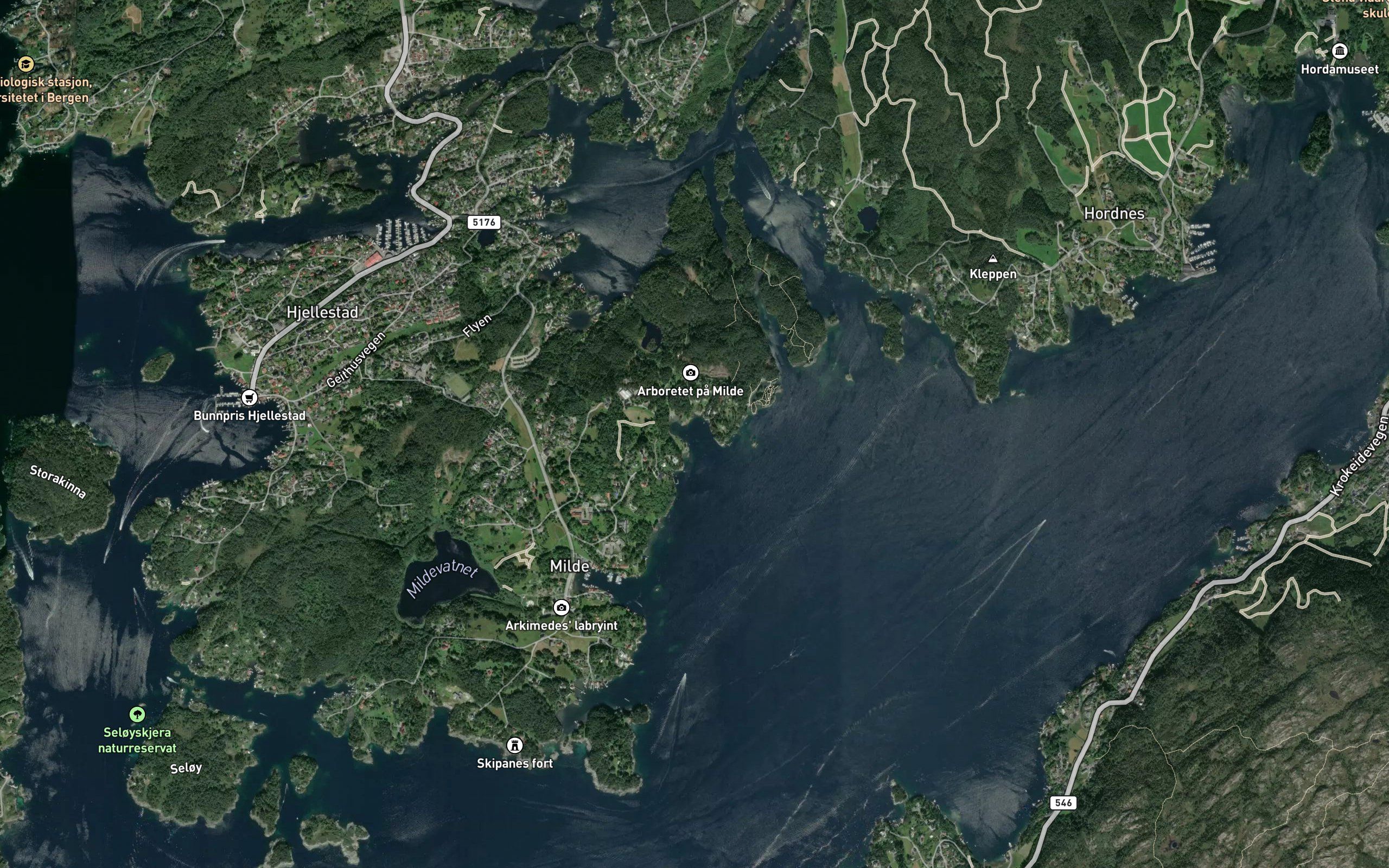 Gronevika