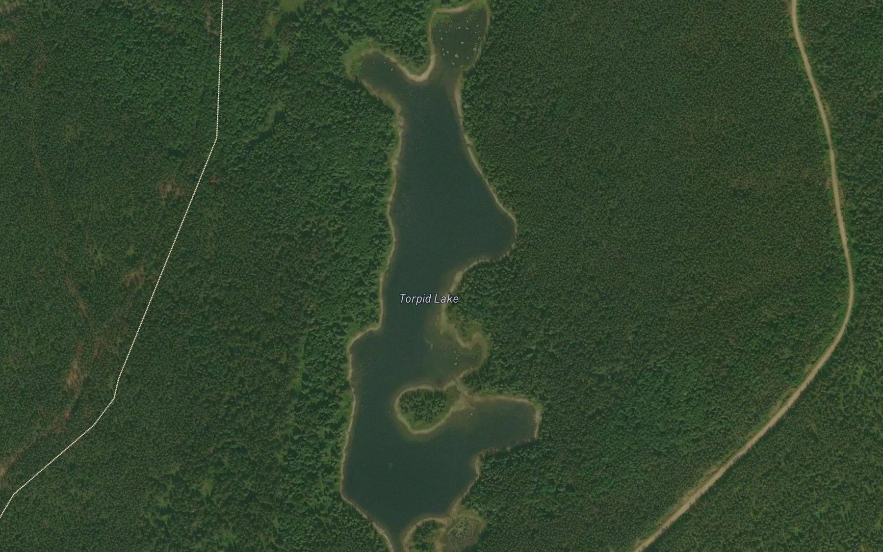 Satellite map of the Torpid Lake