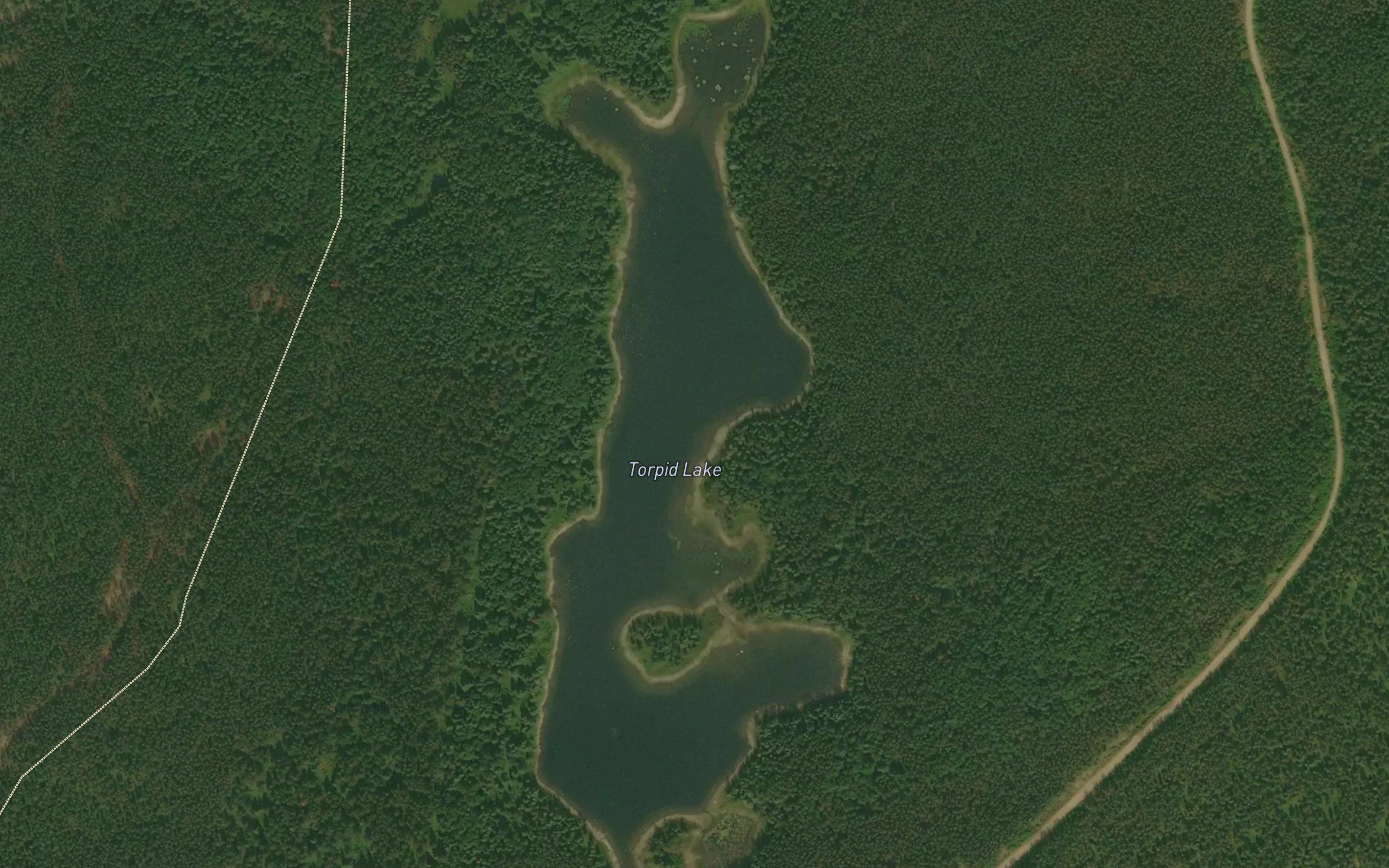 Torpid Lake