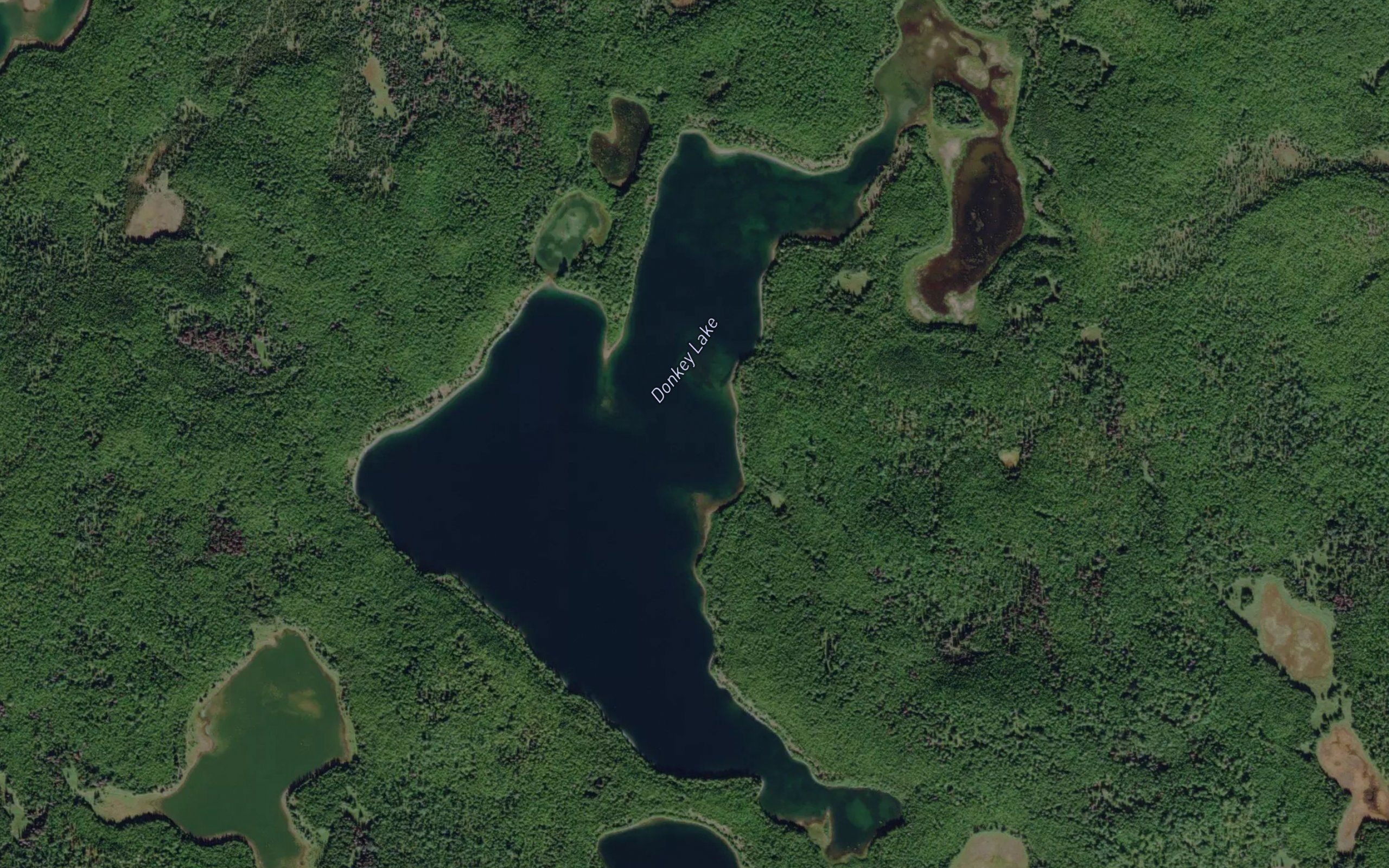Donkey Lake