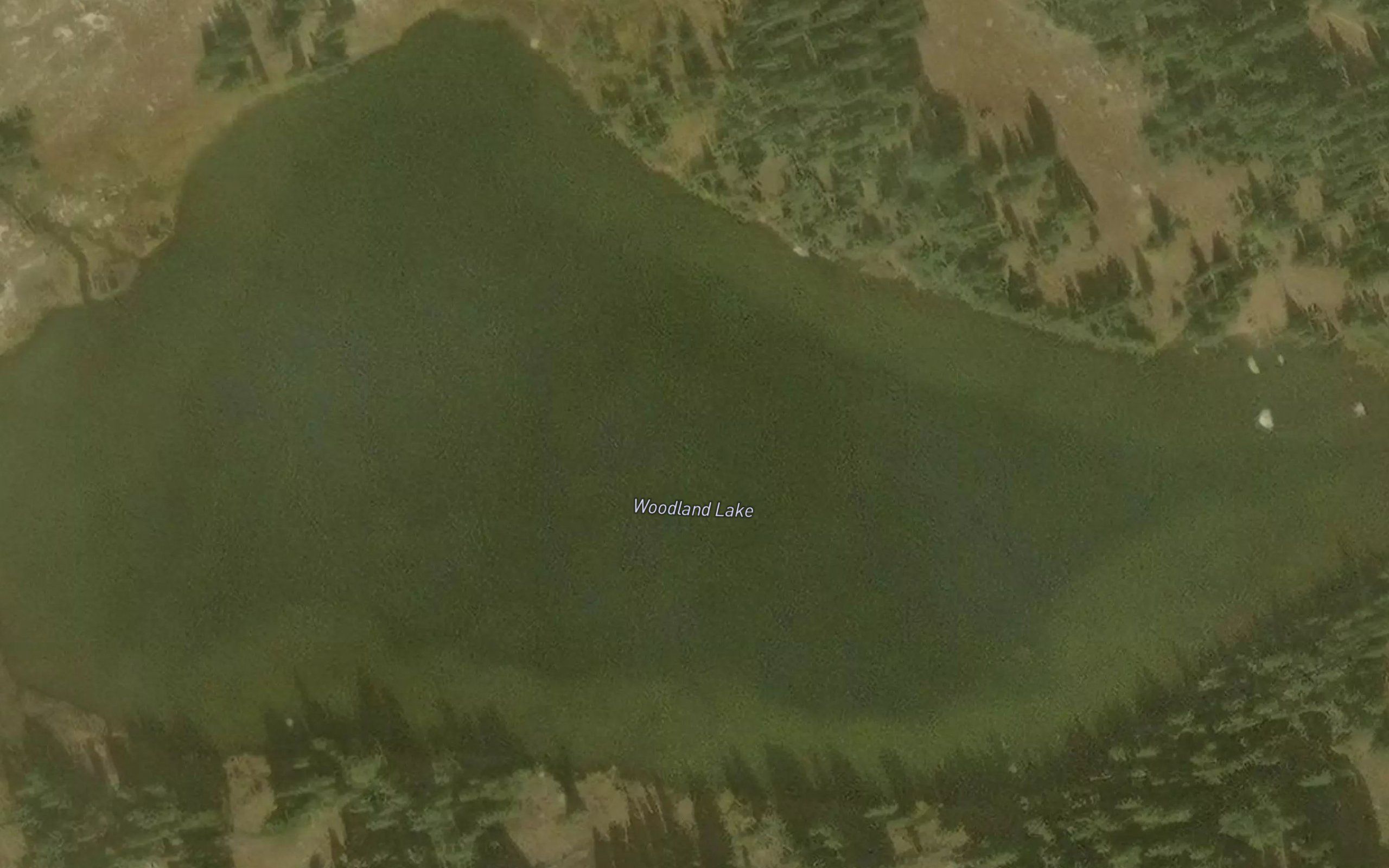 Woodland Lake