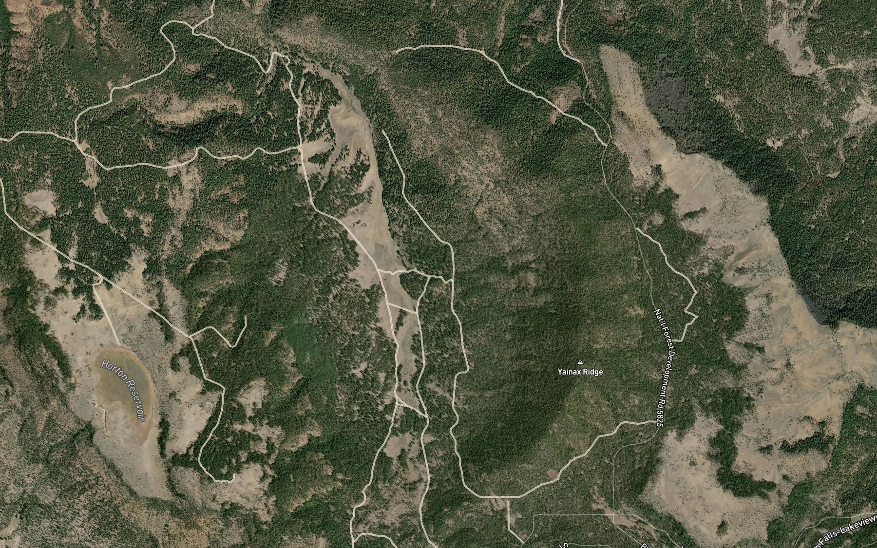 Satellite map of the Rattlesnake Spring