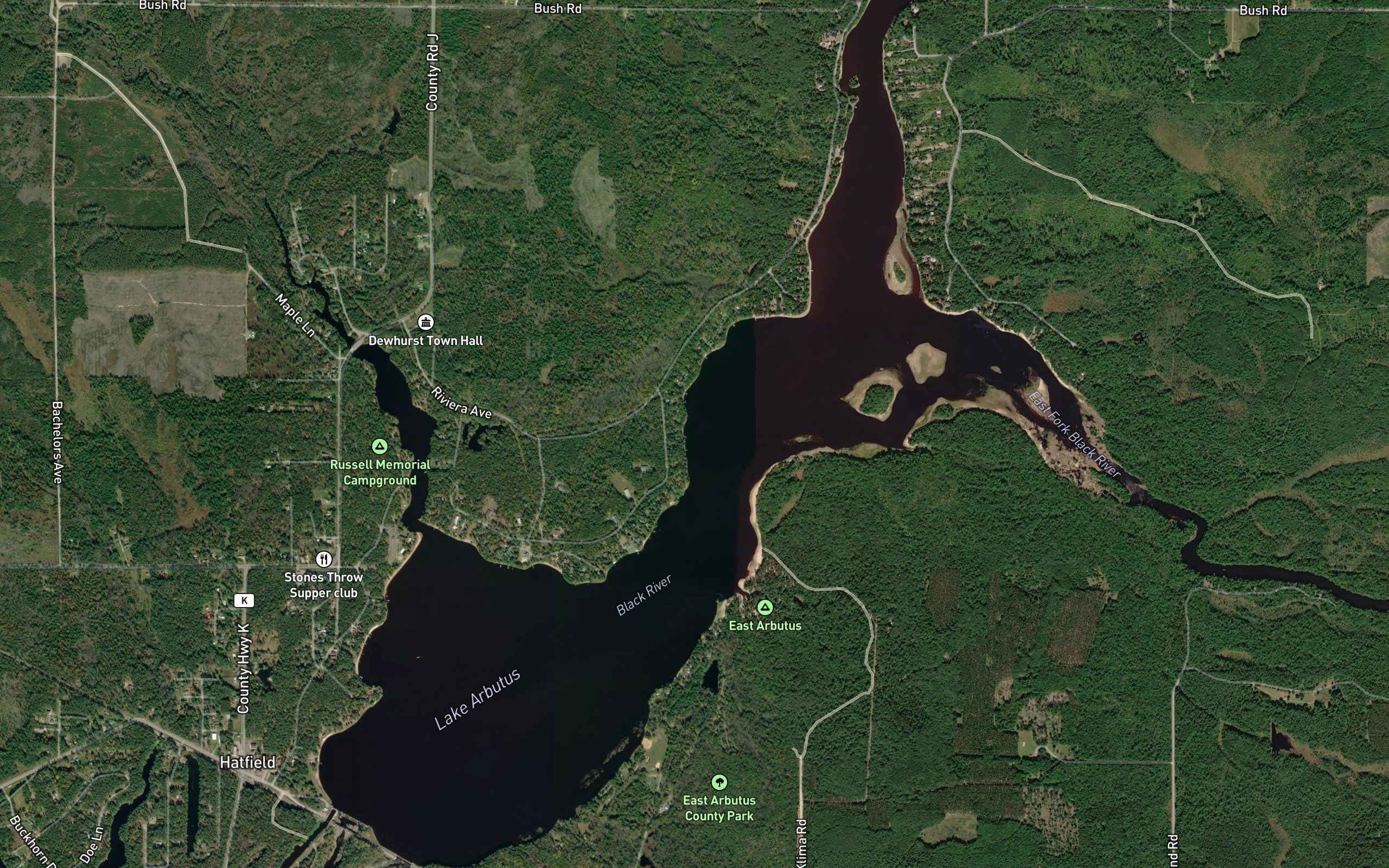 Lake Arbutus