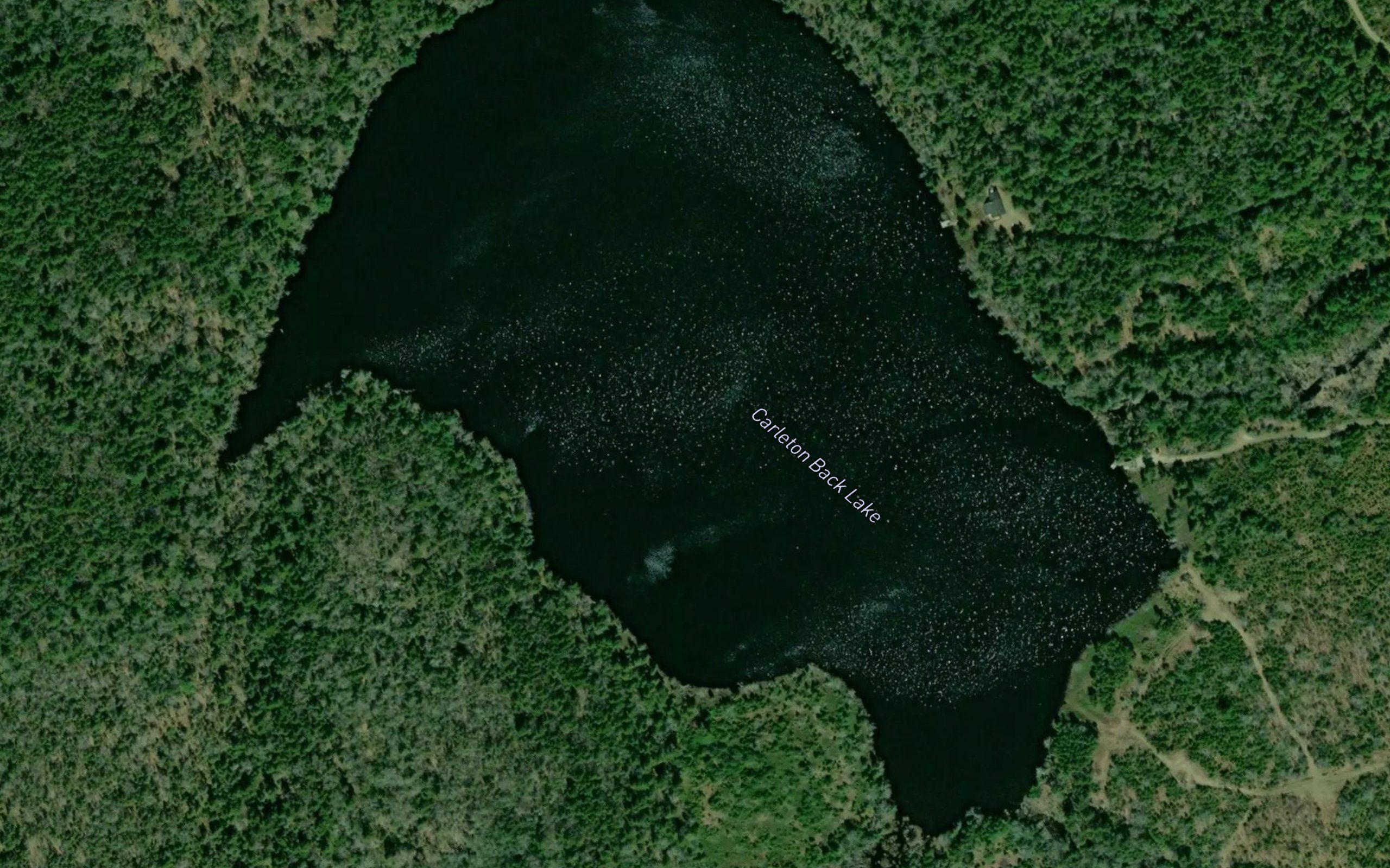 Carleton Back Lake
