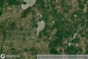 Knots on Juniper Pond