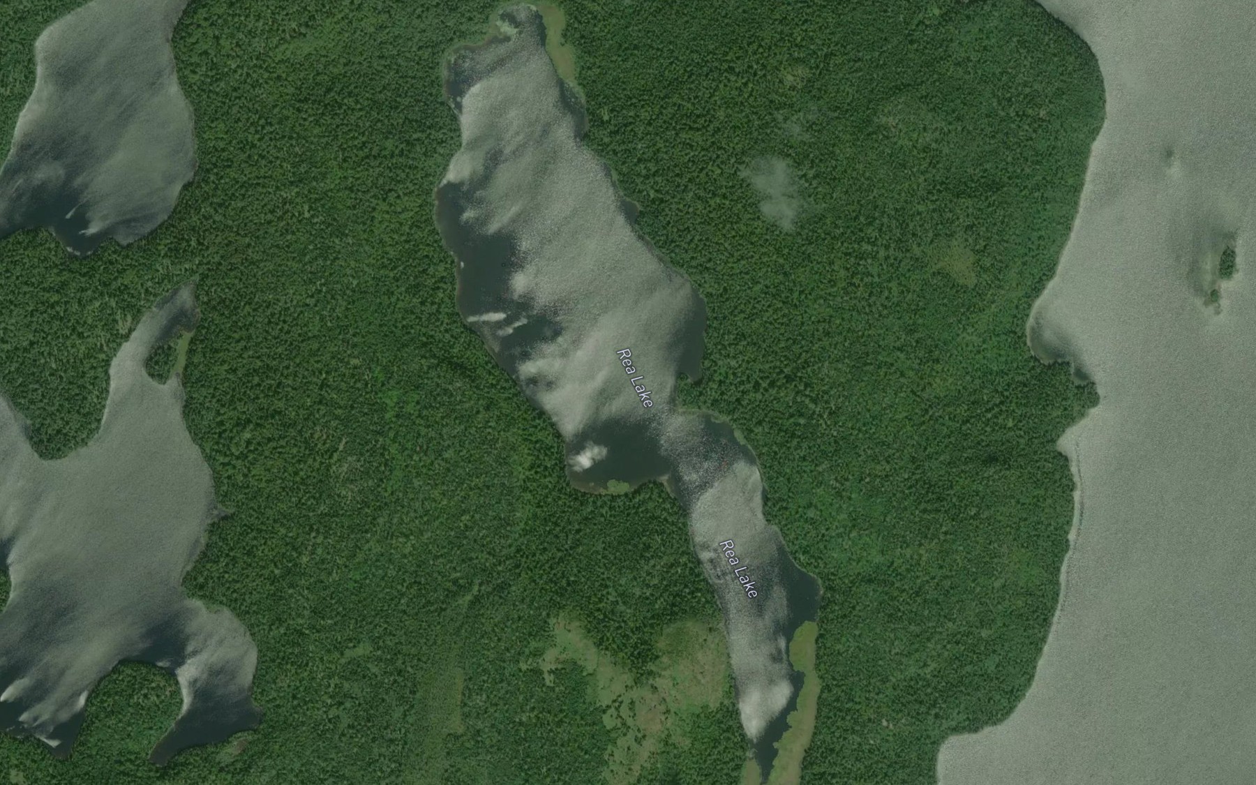 Satellite map of the Rea Lake