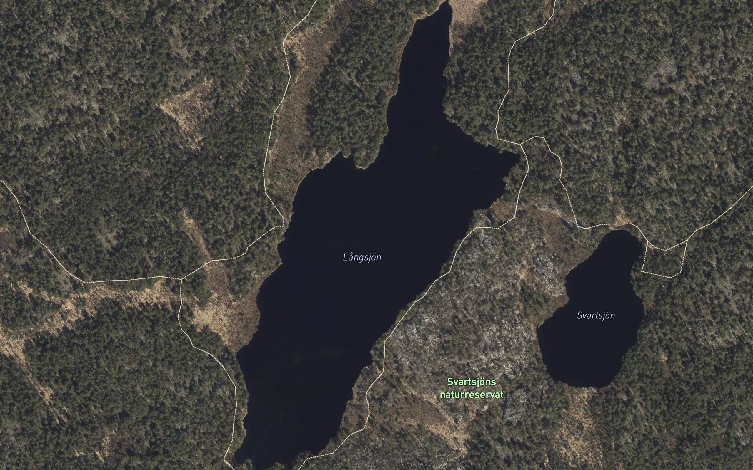 Langsjoen