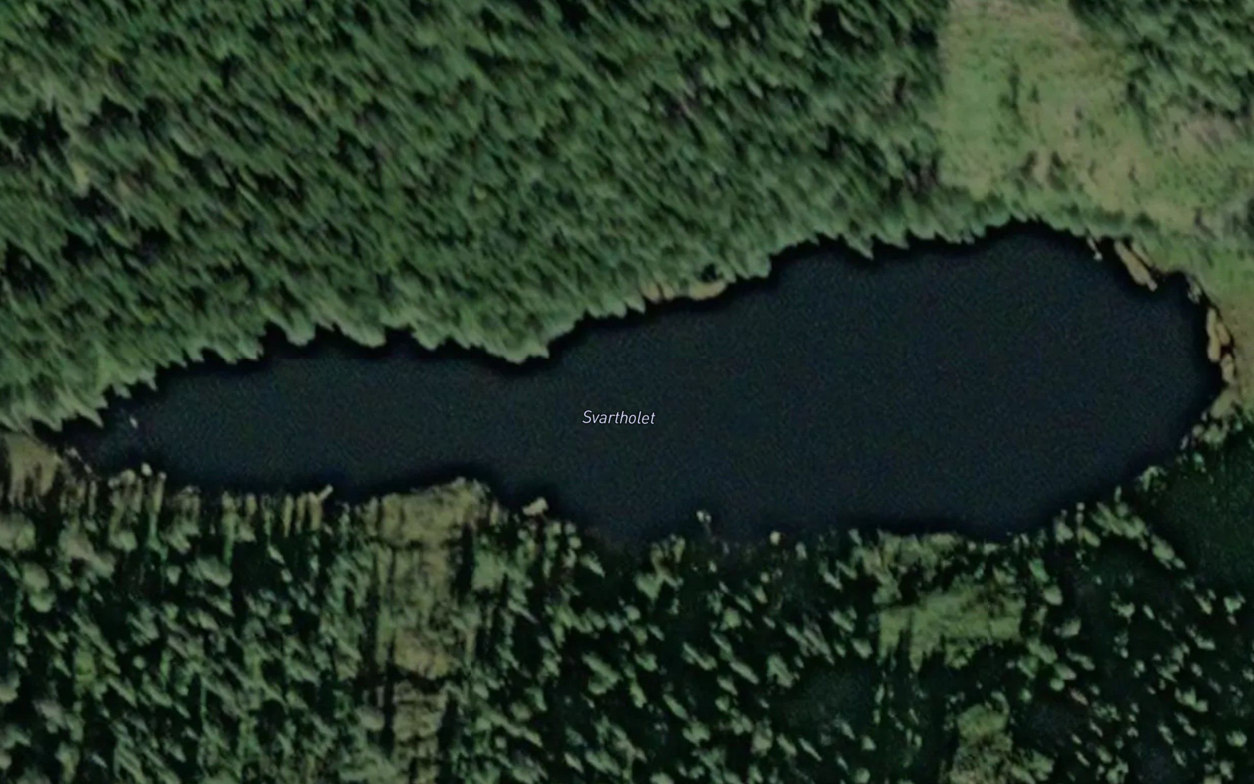 Svartholet