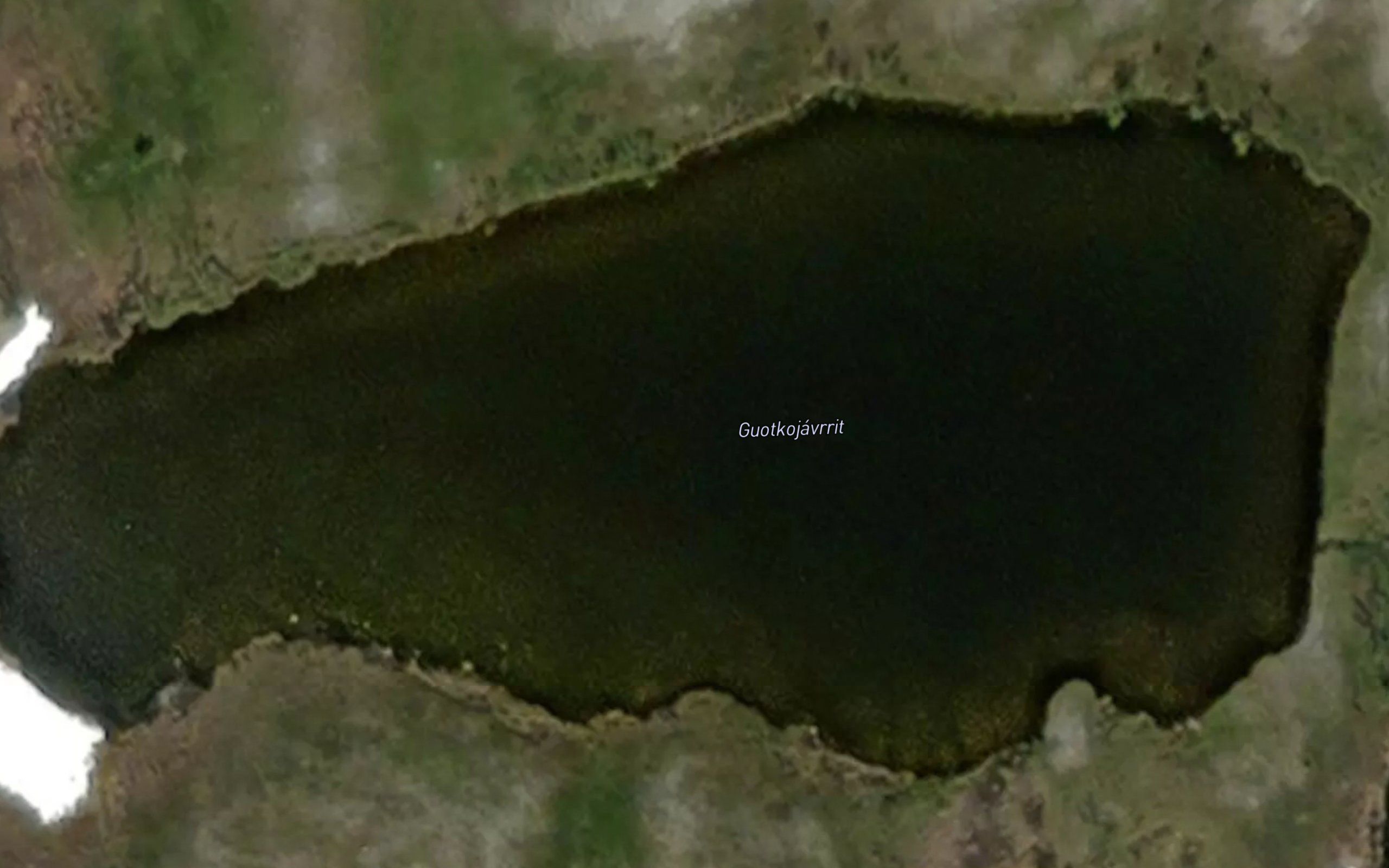 Guotkujavrit