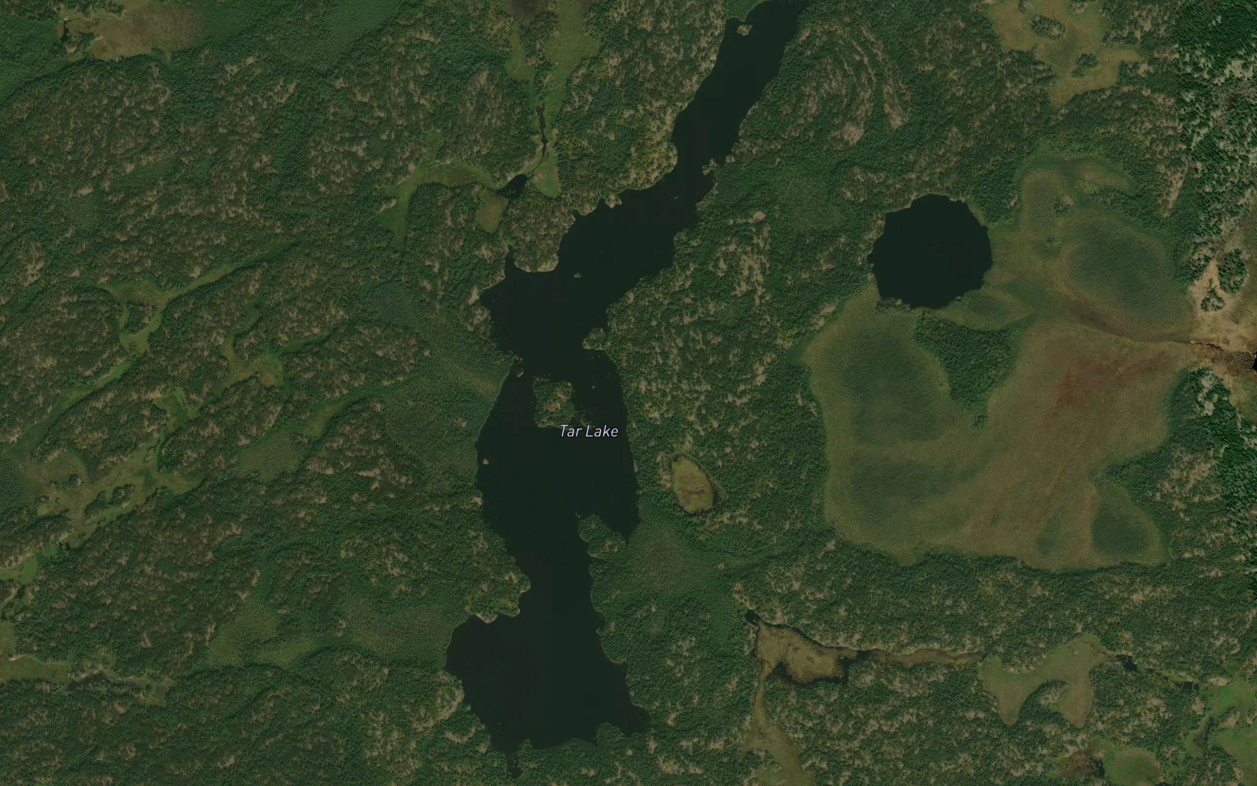Tar Lake