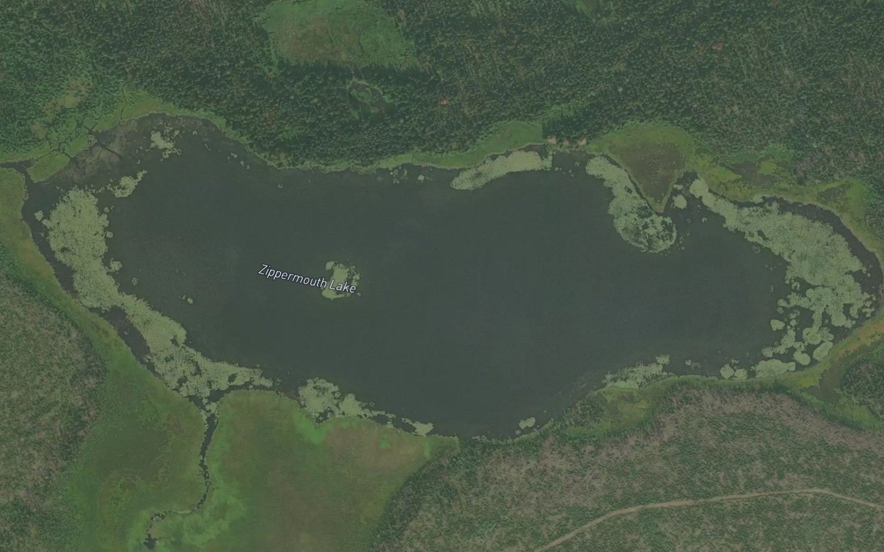 Satellite map of the Zippermouth Lake