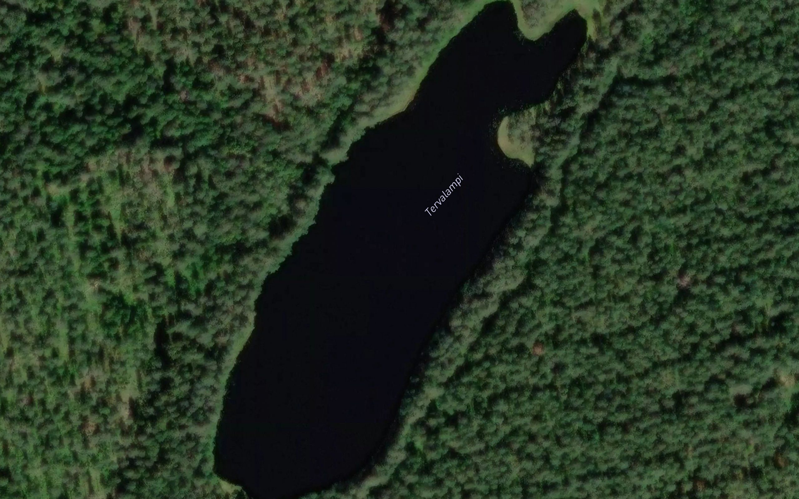 Tervalampi