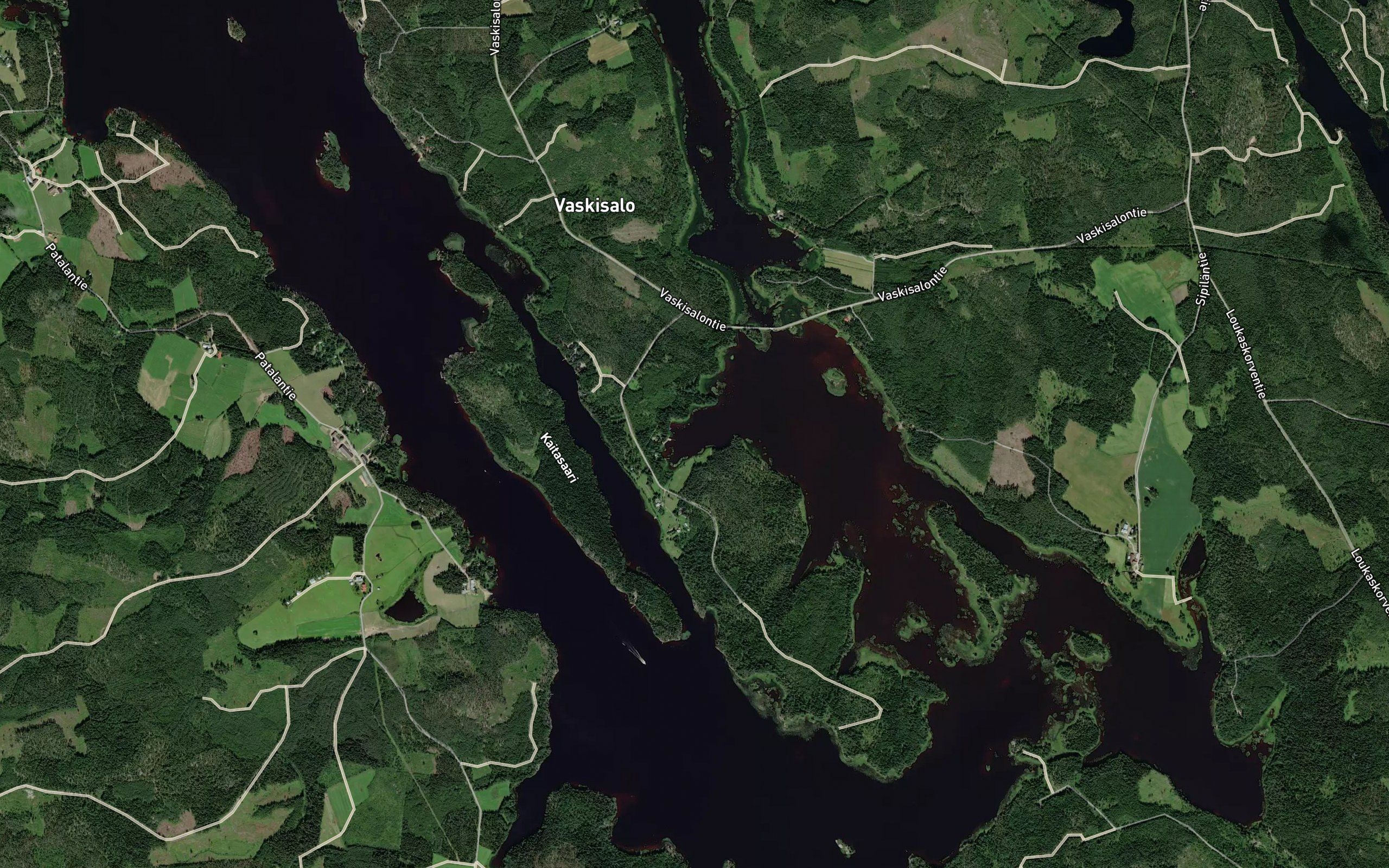 Niittylahti