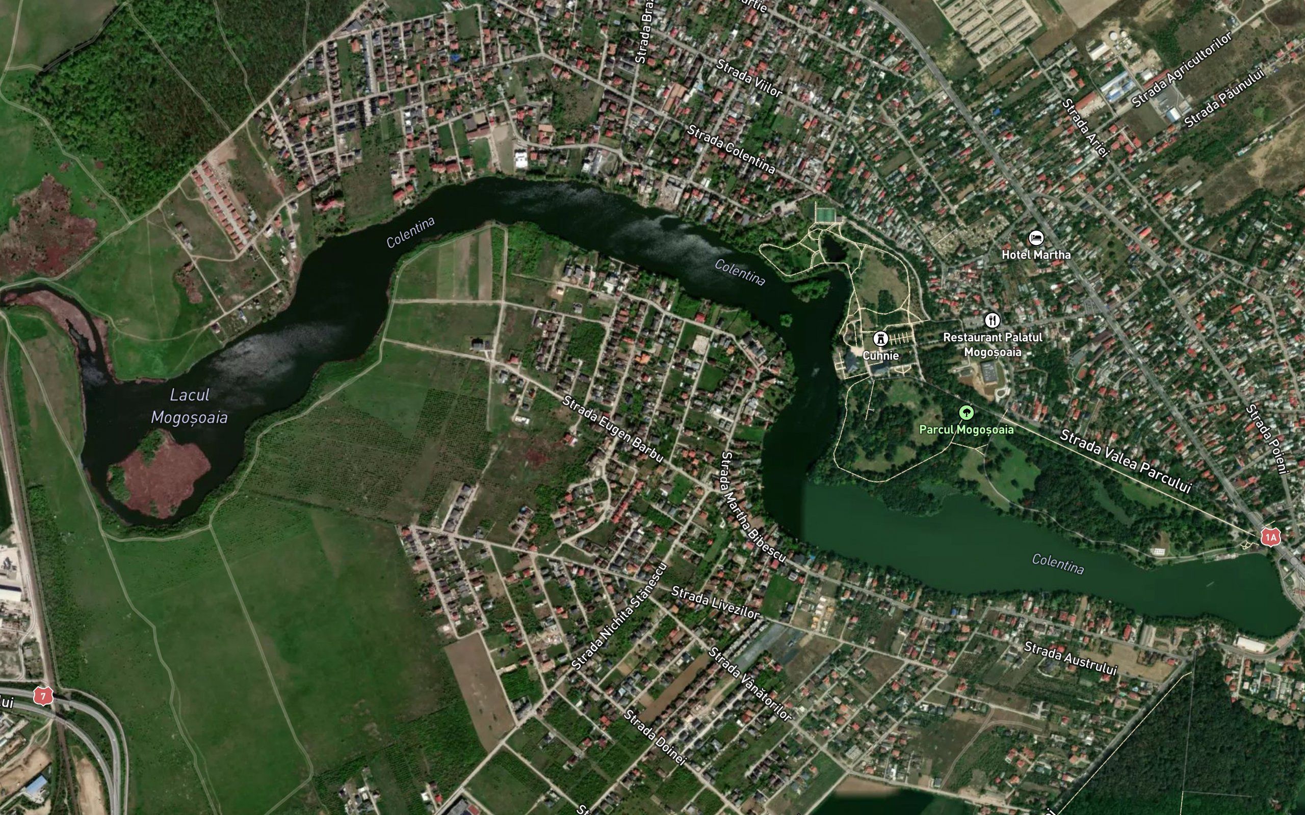 Lake Mogosoaia