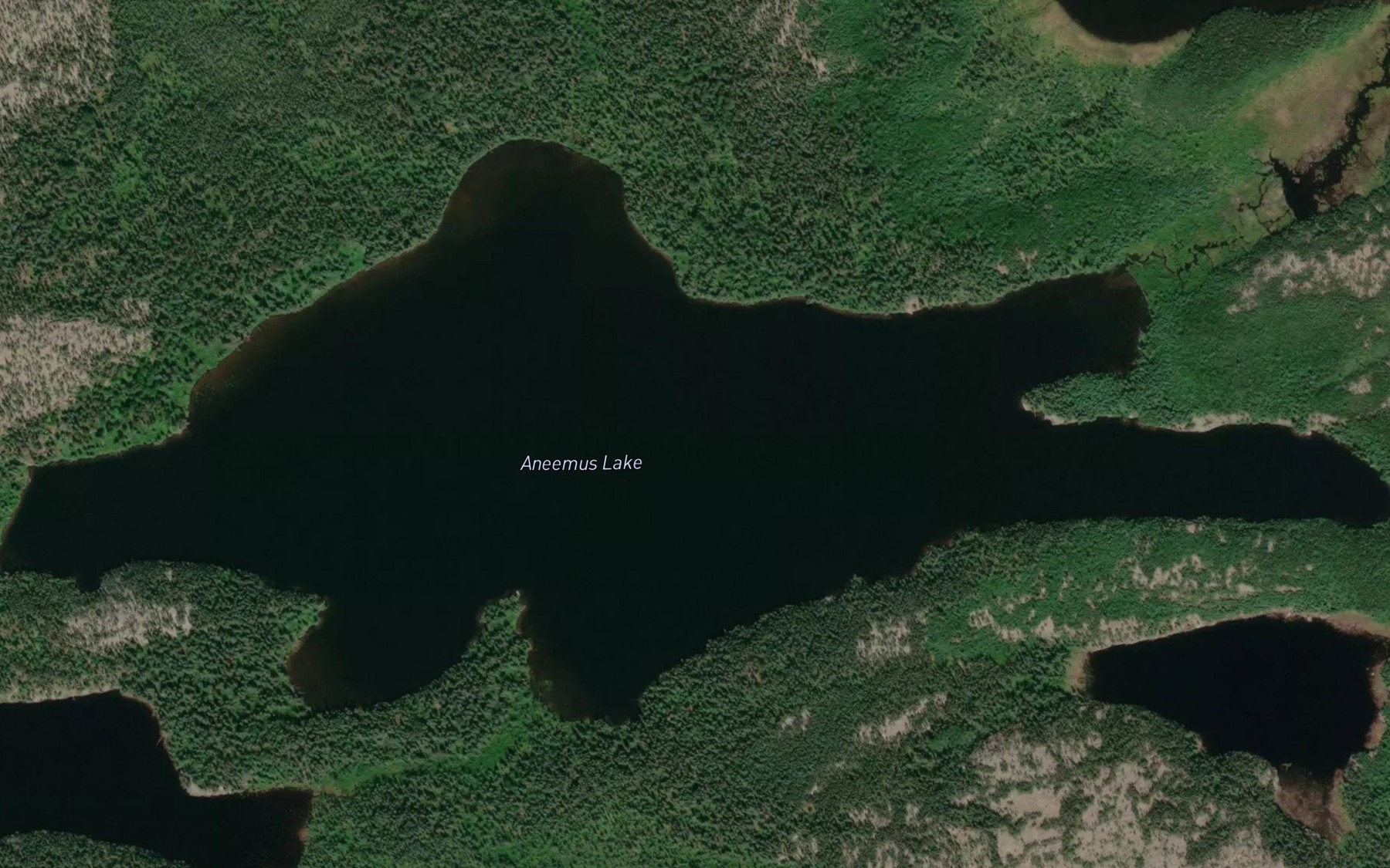 Satellite map of the Aneemus Lake