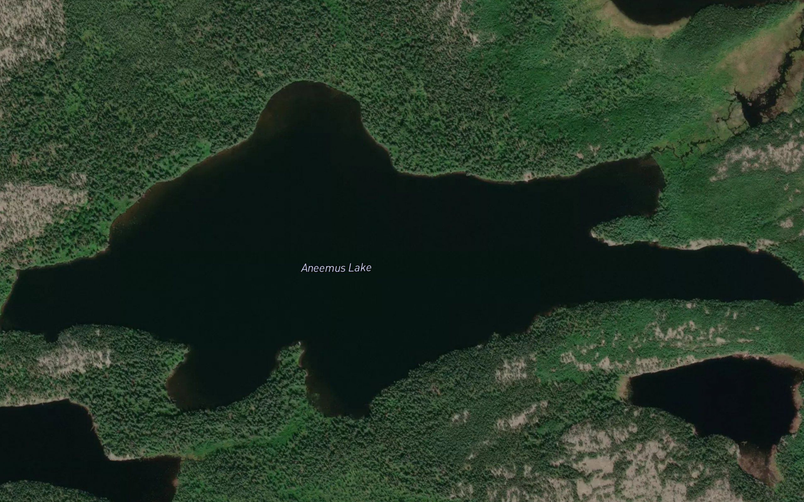 Aneemus Lake