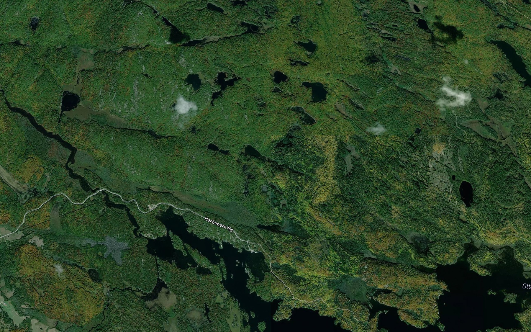 Satellite map of the Beaver Pond