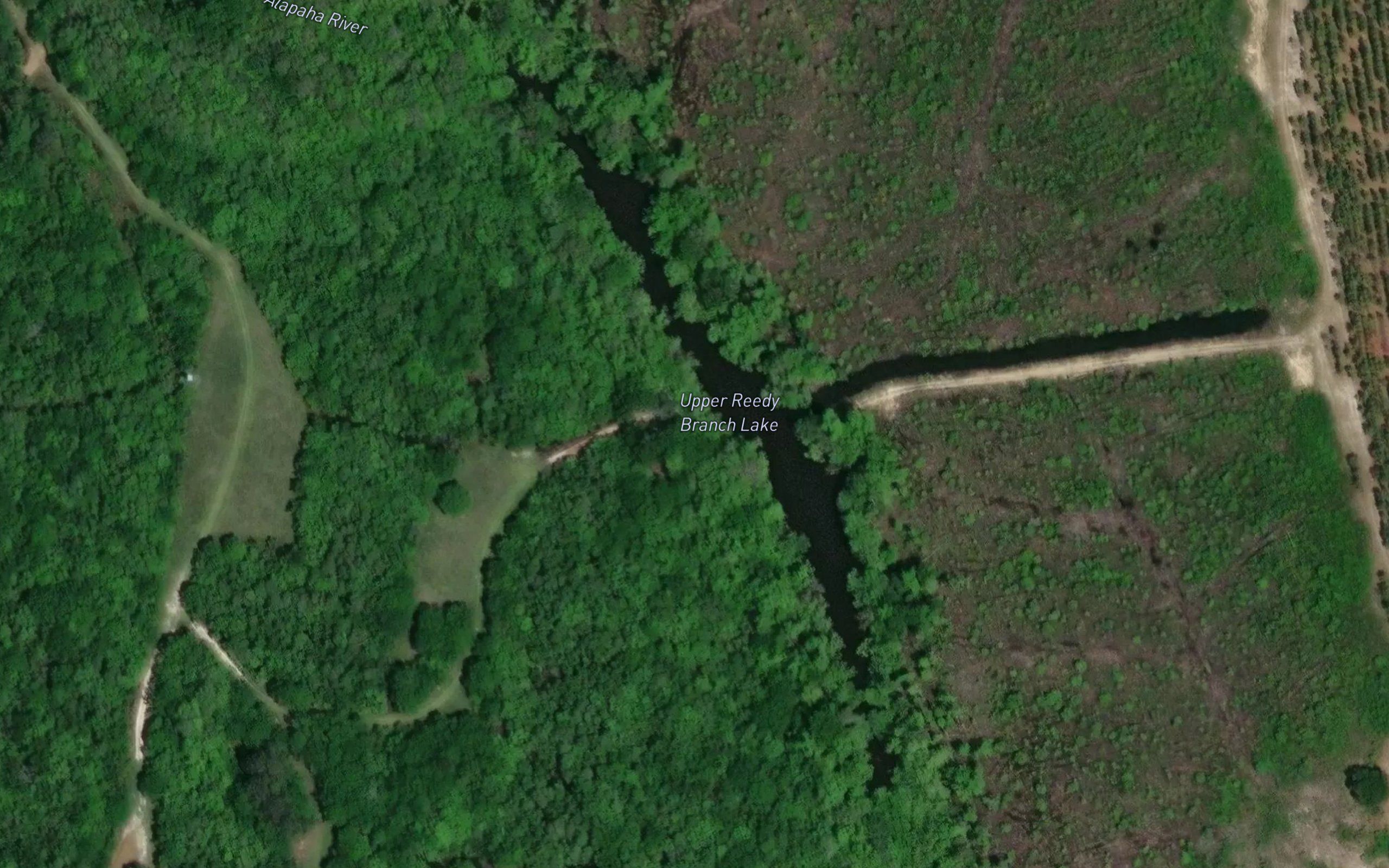 Upper Reedy Branch Lake