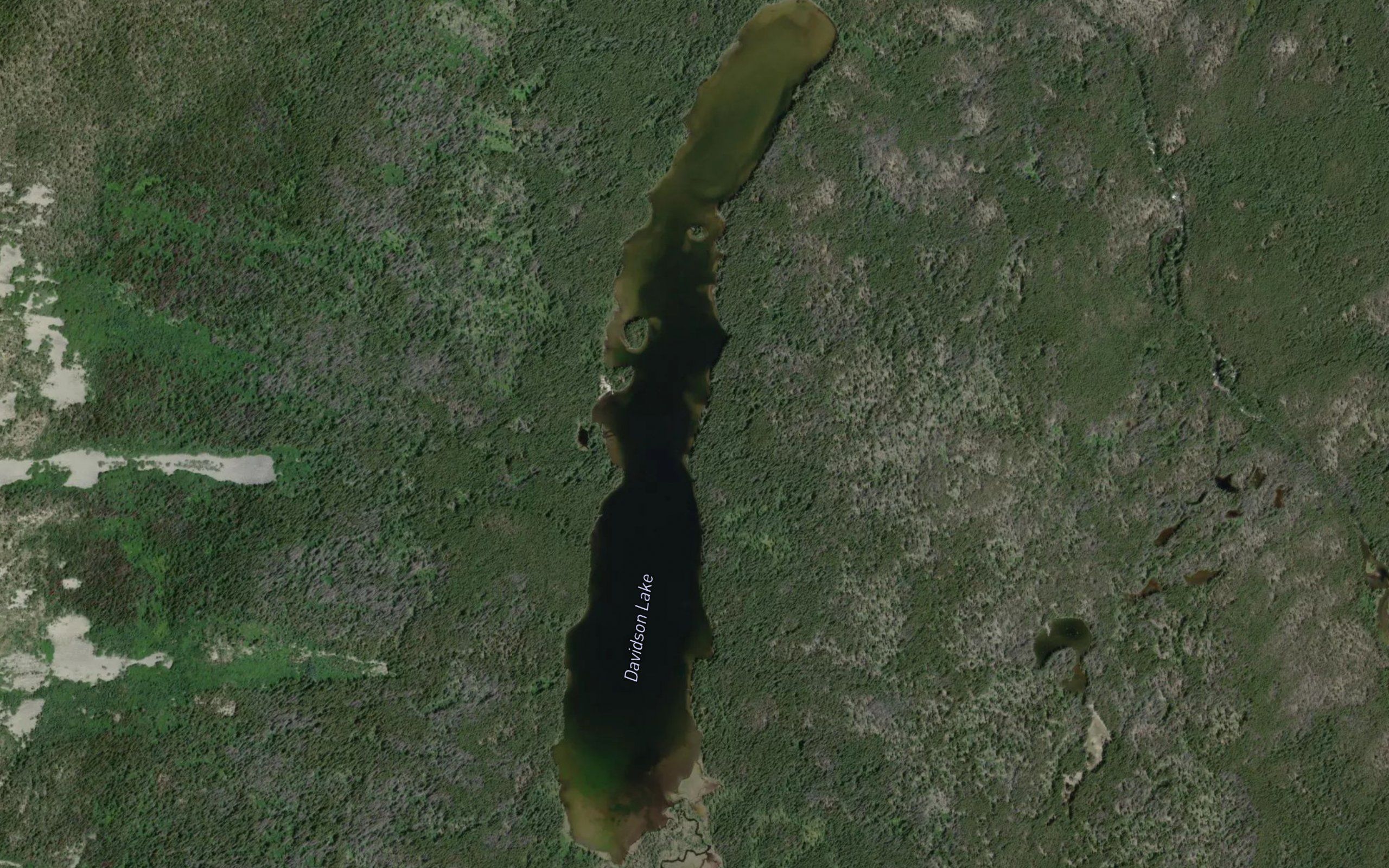 Davidson Lake