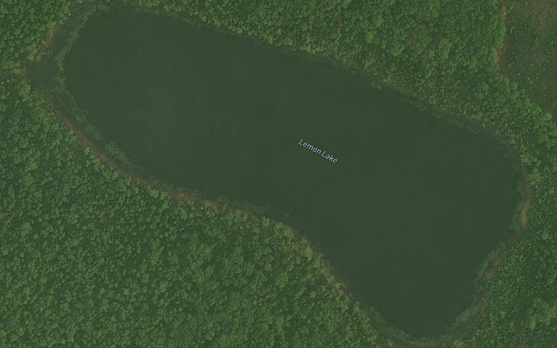 Satellite map of the Lemon Lake