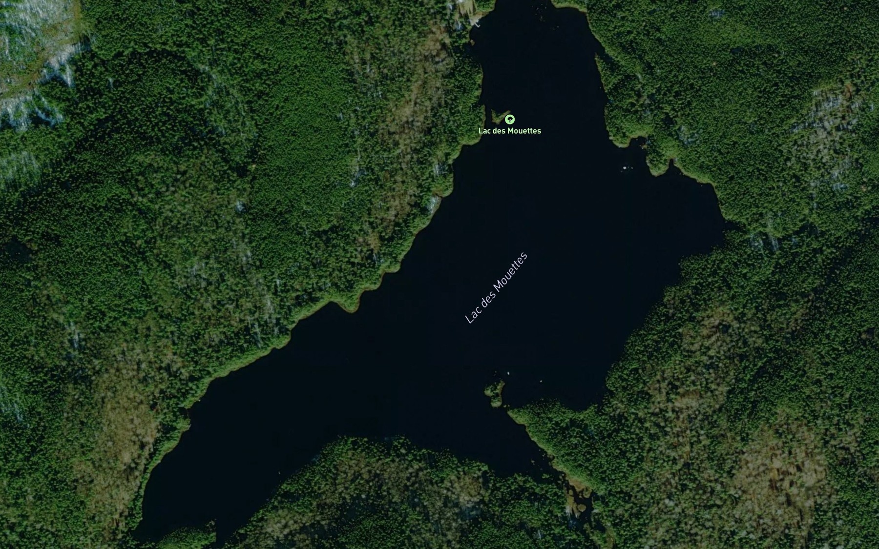 Satellite map of the Lac des Mouettes