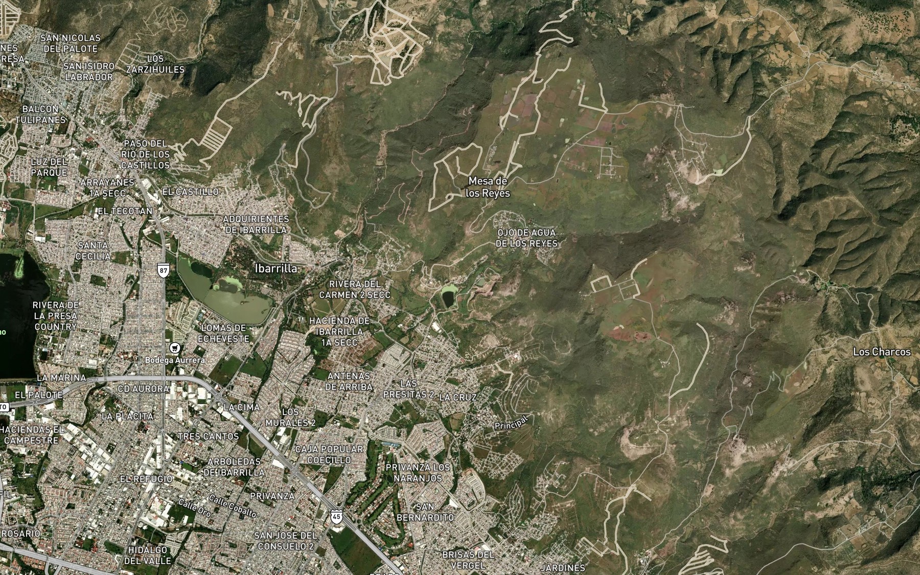 Satellite map of the Ojo de Agua los Reyes