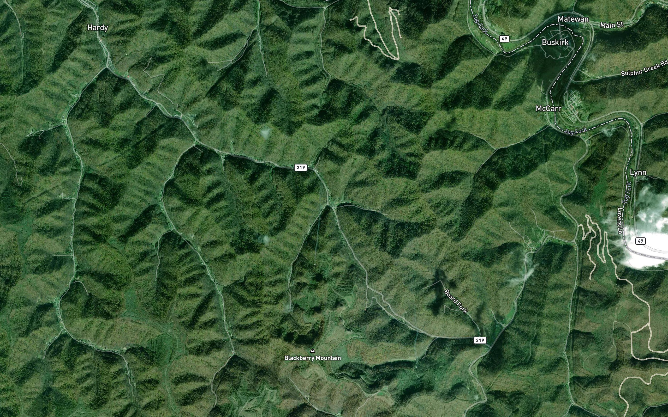 Left Turkeytoe Branch