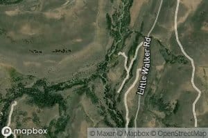 Poison Creek