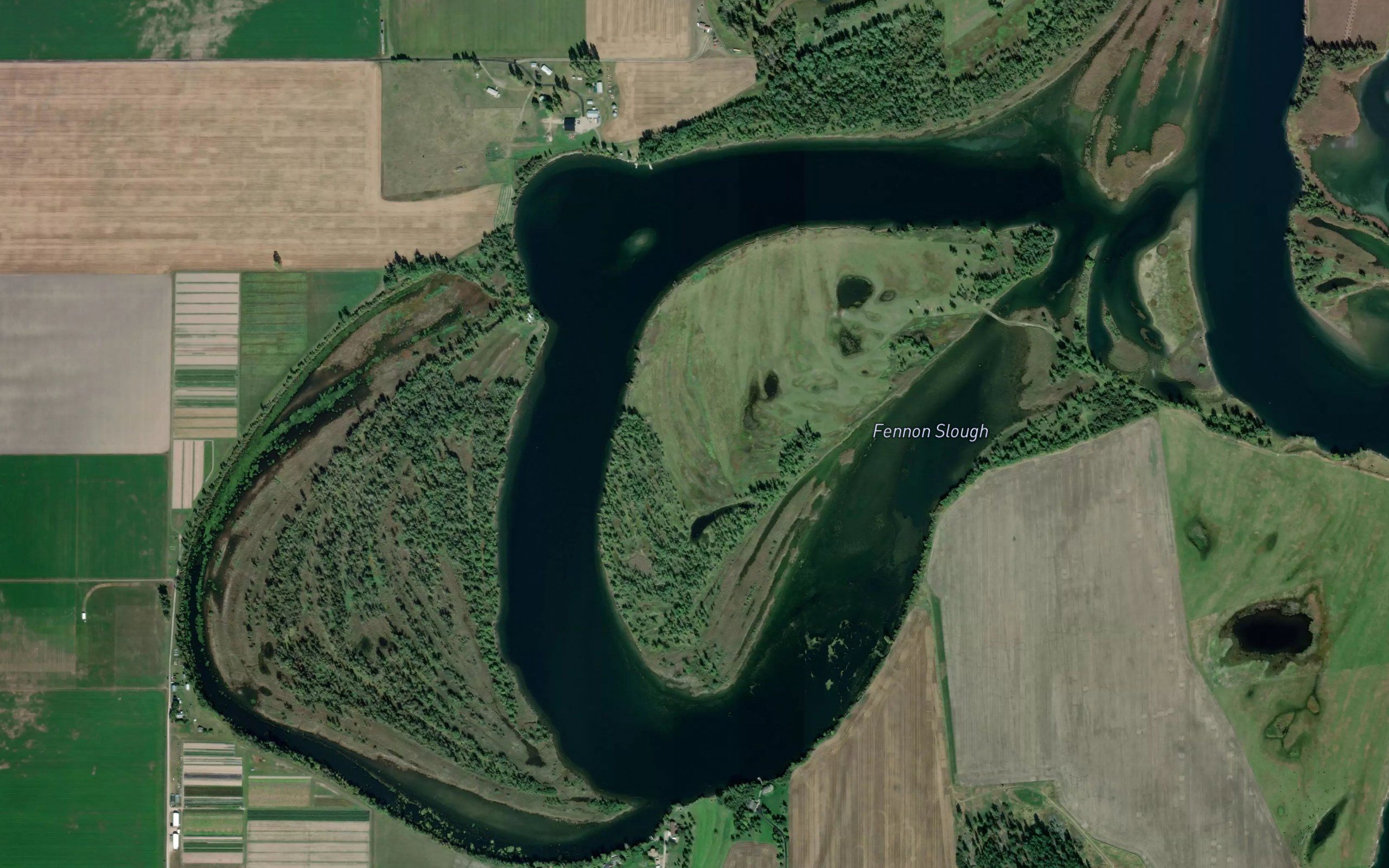 Fennon Slough