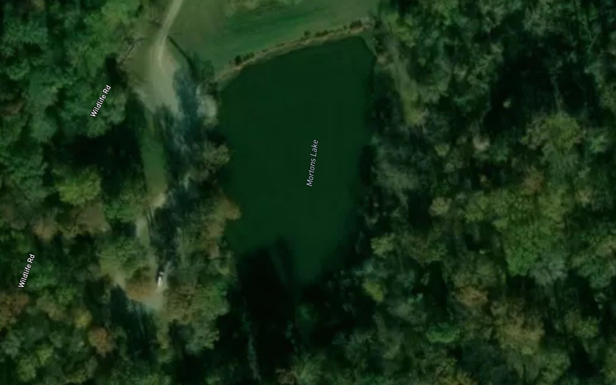Mortons Lake