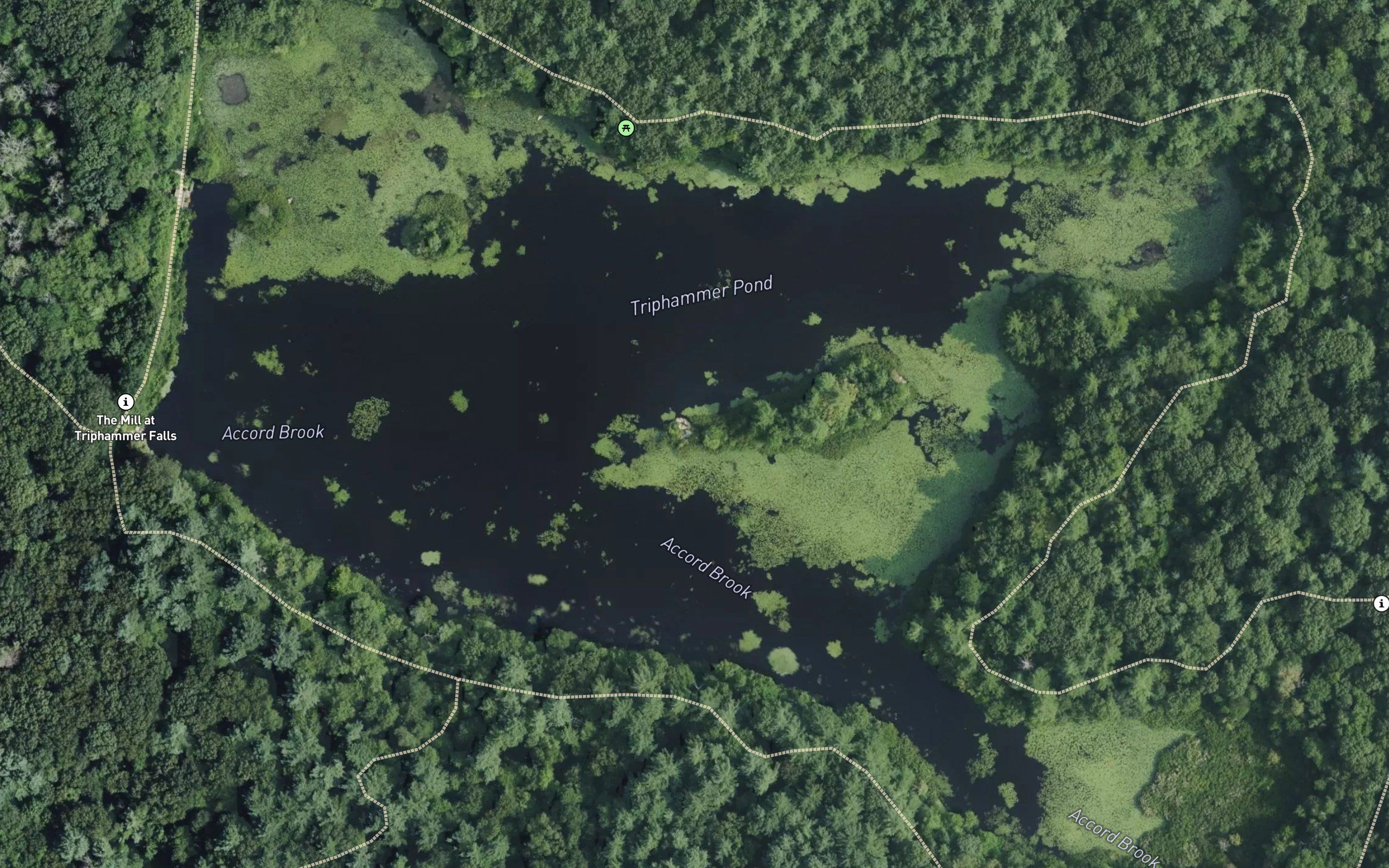 Triphammer Pond