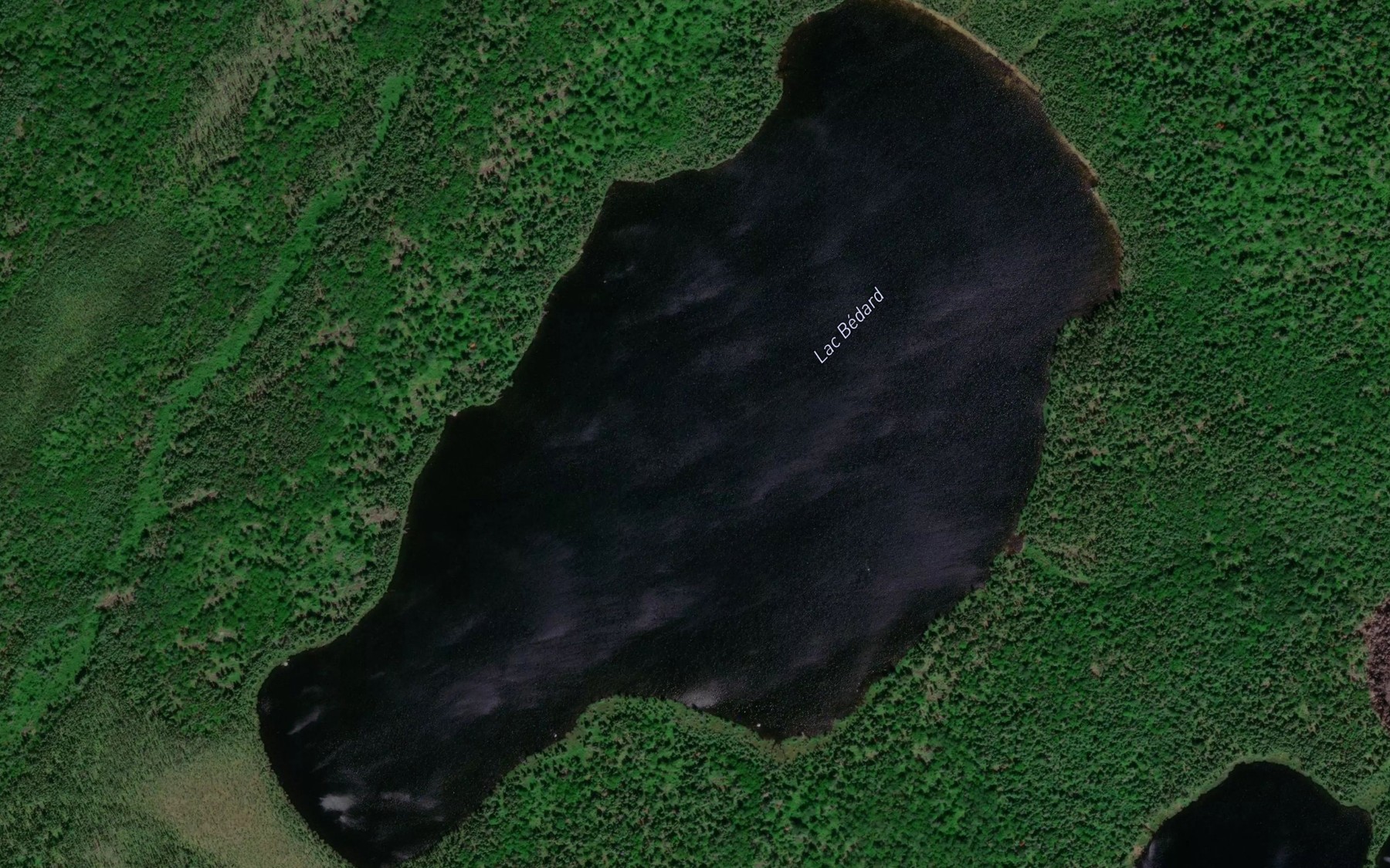 Satellite map of the Lac Bedard