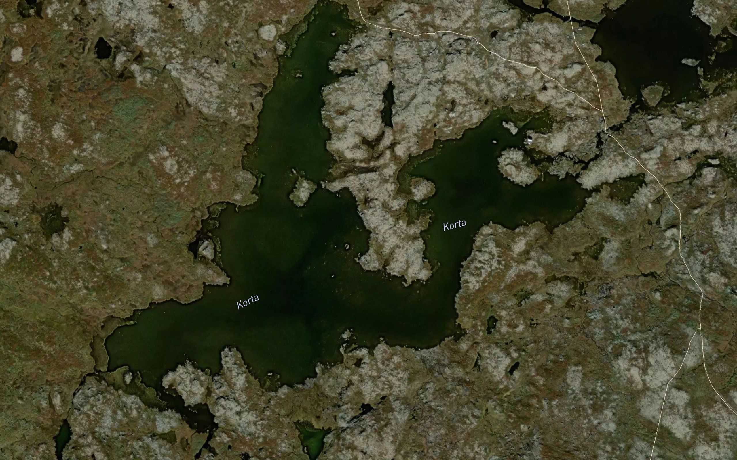 Korta