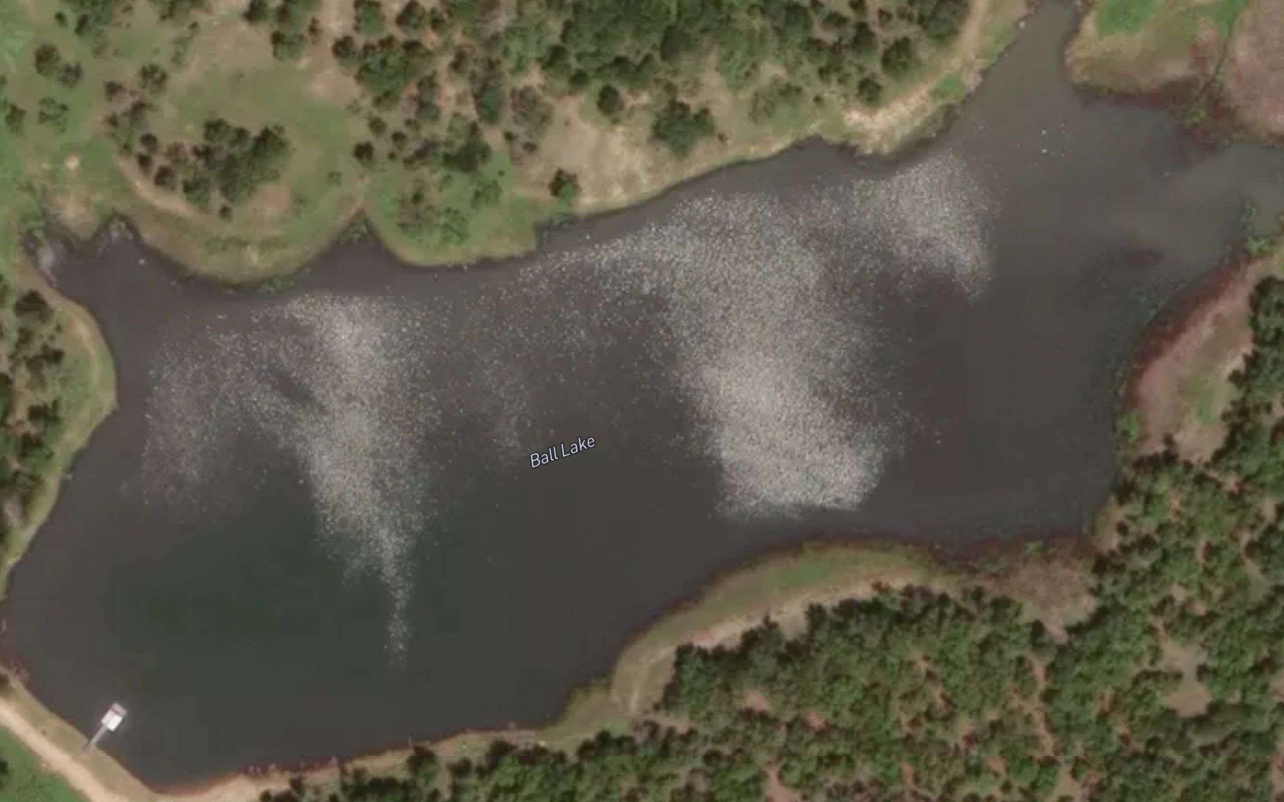 Ball Lake
