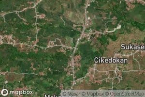 Ci Kokok
