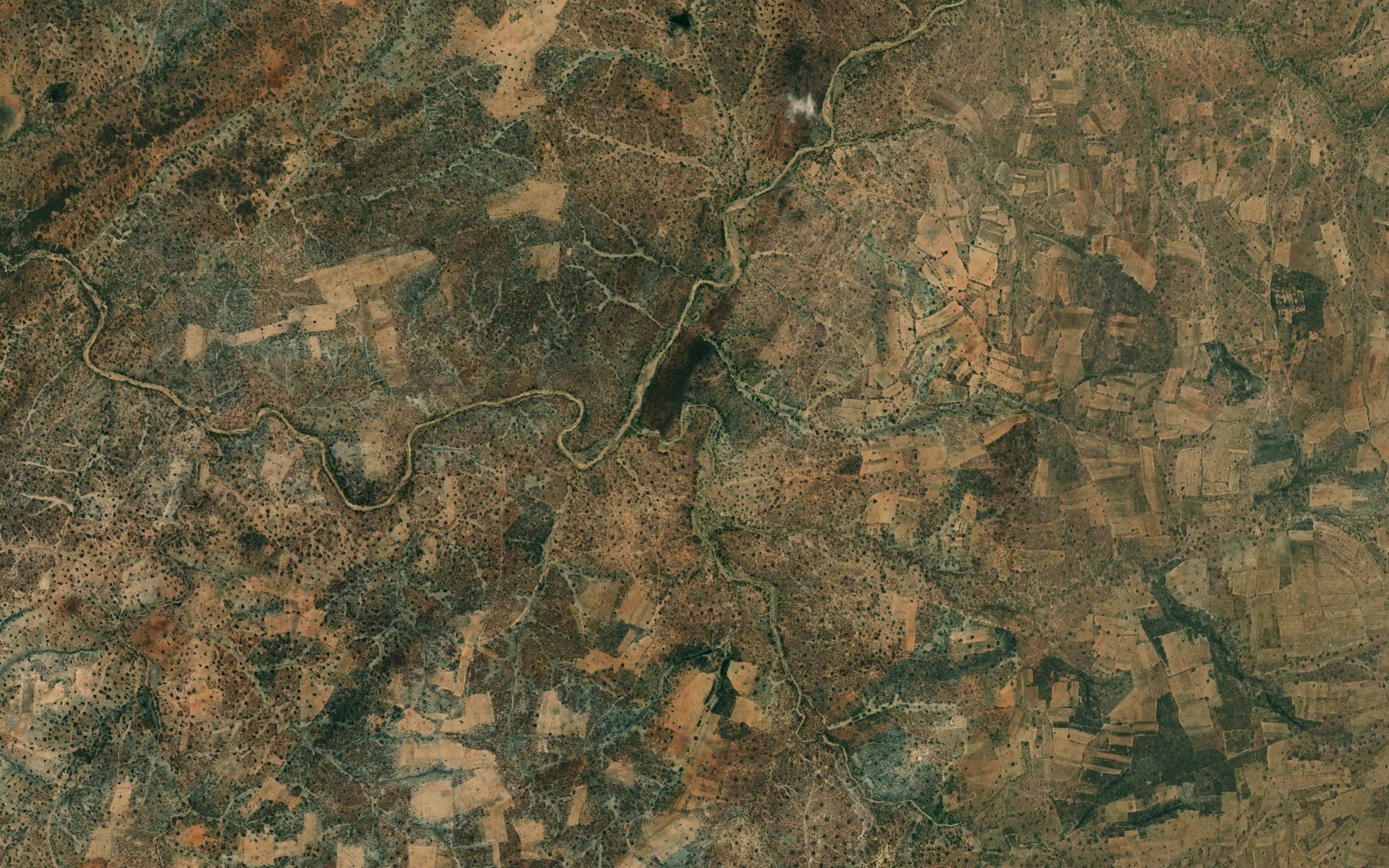 Nsungo