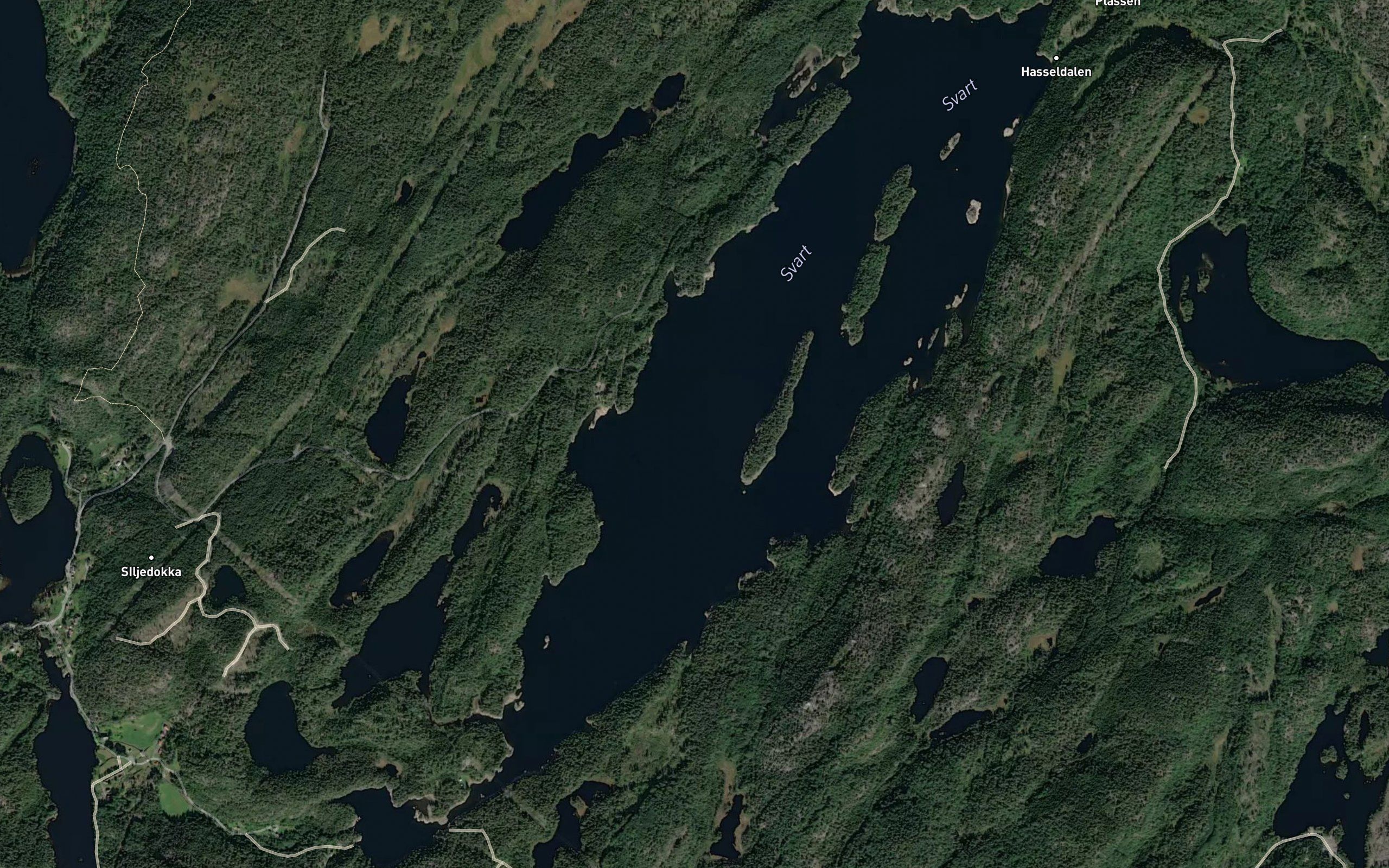 Svart