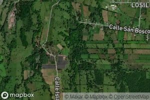 Brazo Rio Toro Amarillo