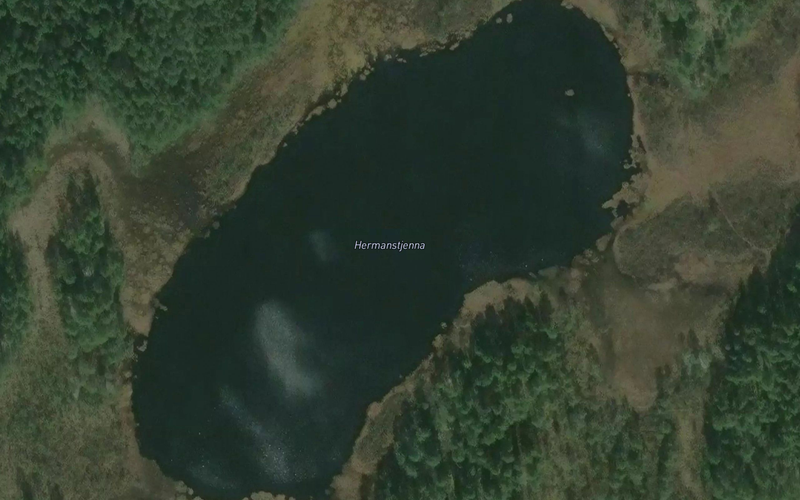 Hermanstjerna