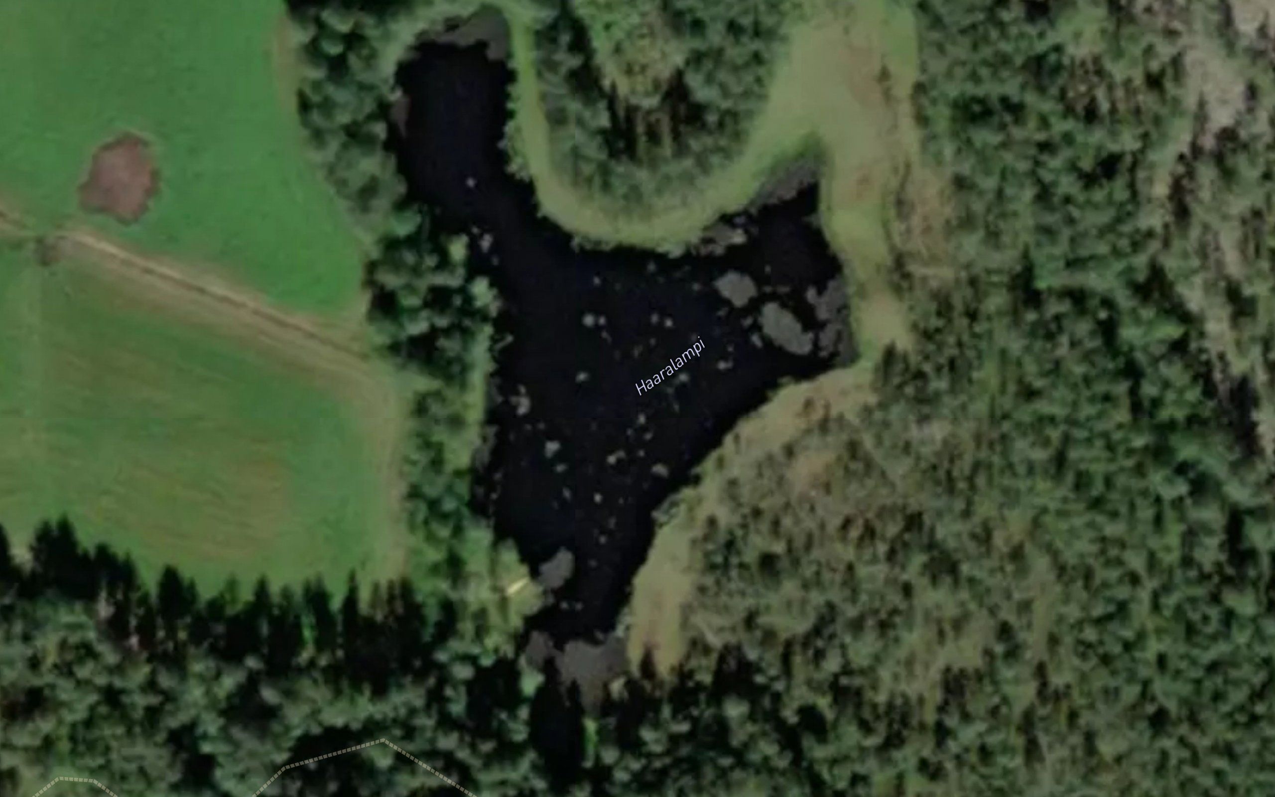 Haaralampi