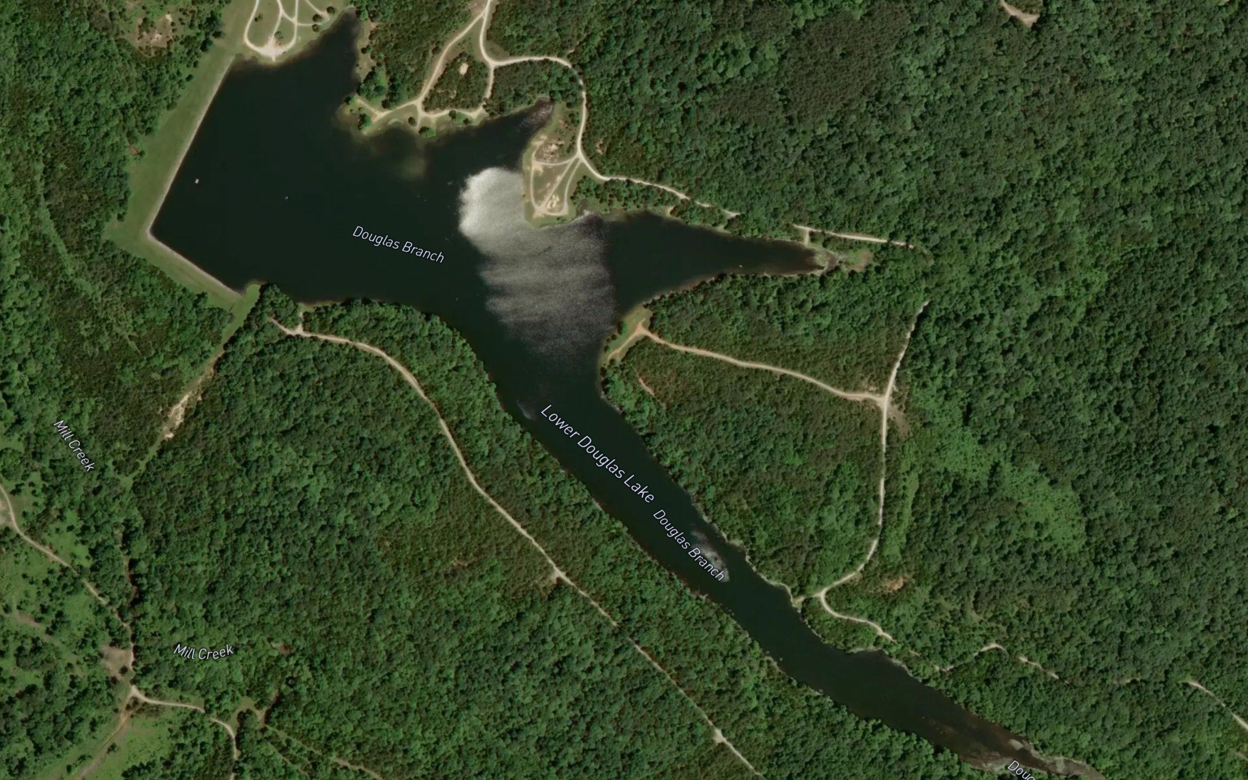Lower Douglas Lake