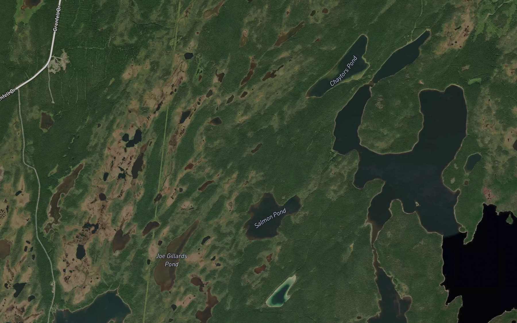 Satellite map of the Salmon Pond